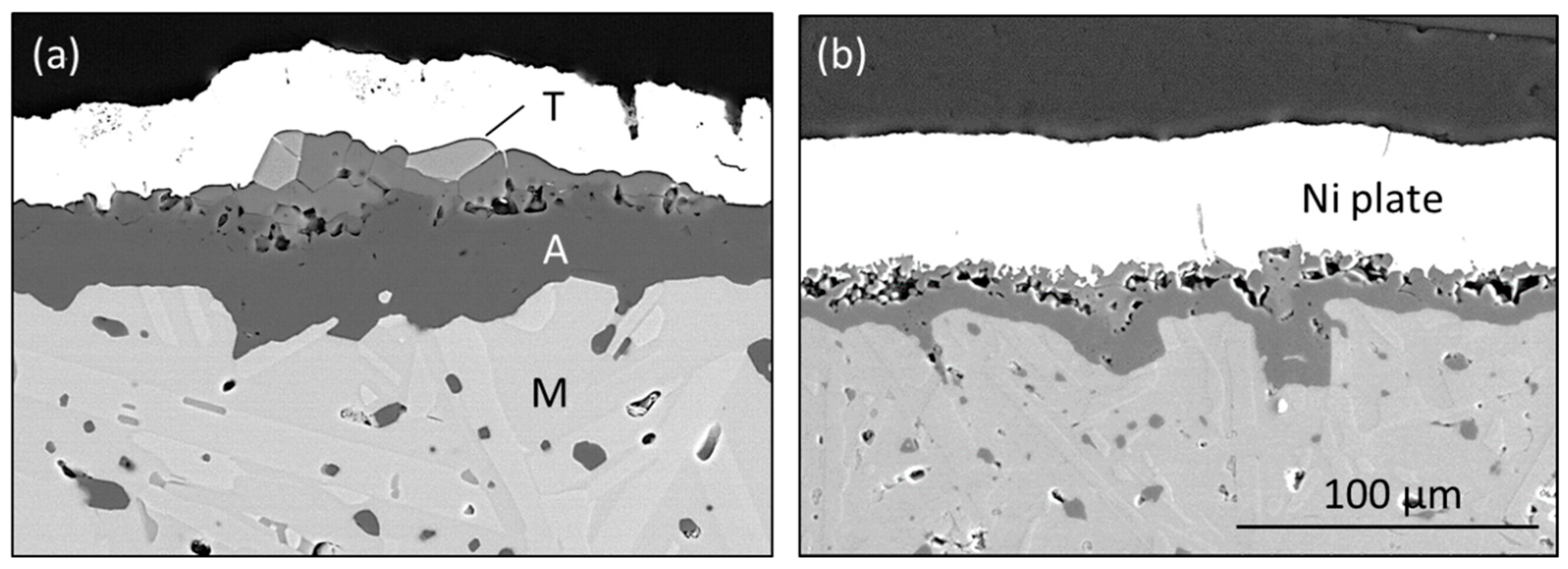 Coatings 10 00142 g006 Coatings 10 00142 g006
