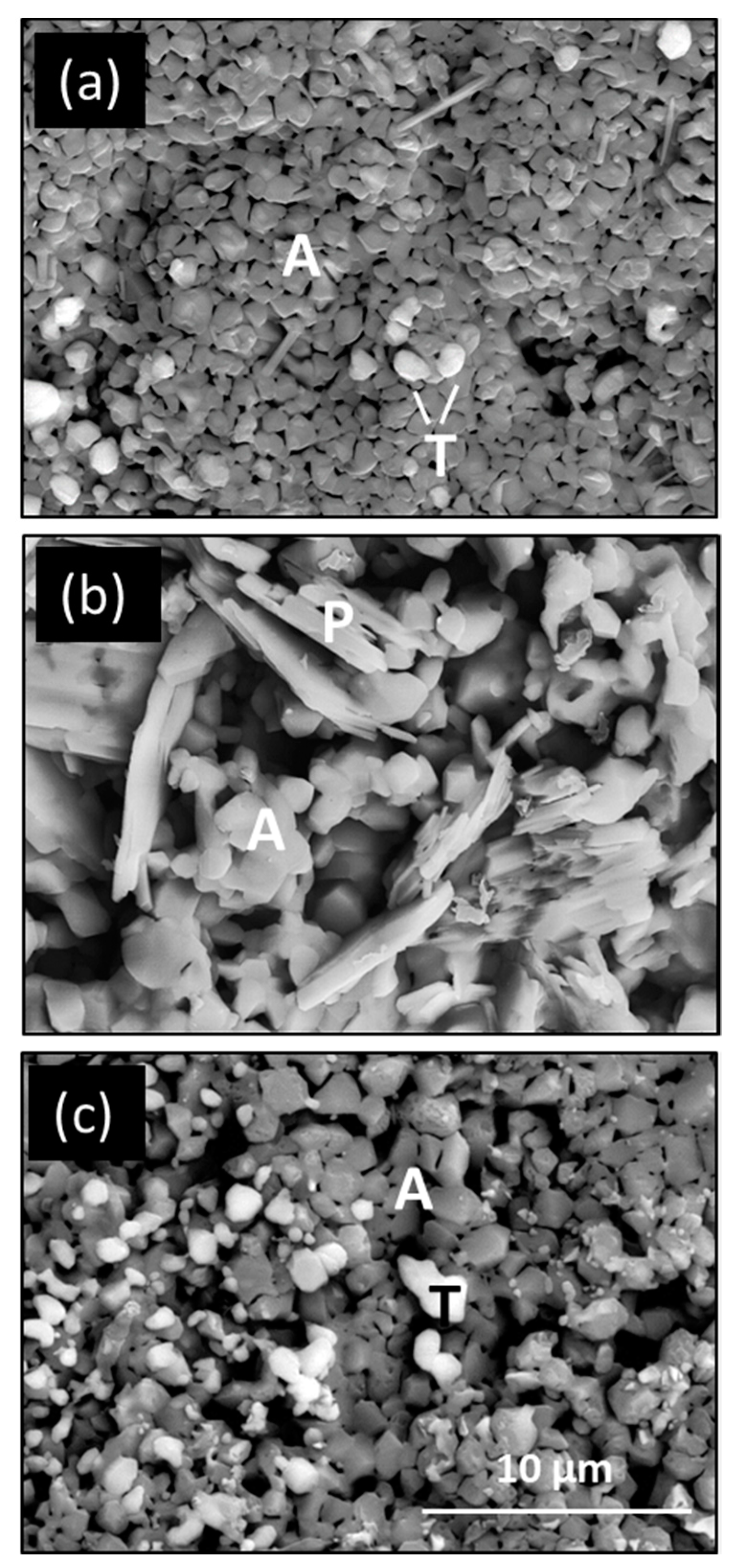 Coatings 10 00142 g007 Coatings 10 00142 g007