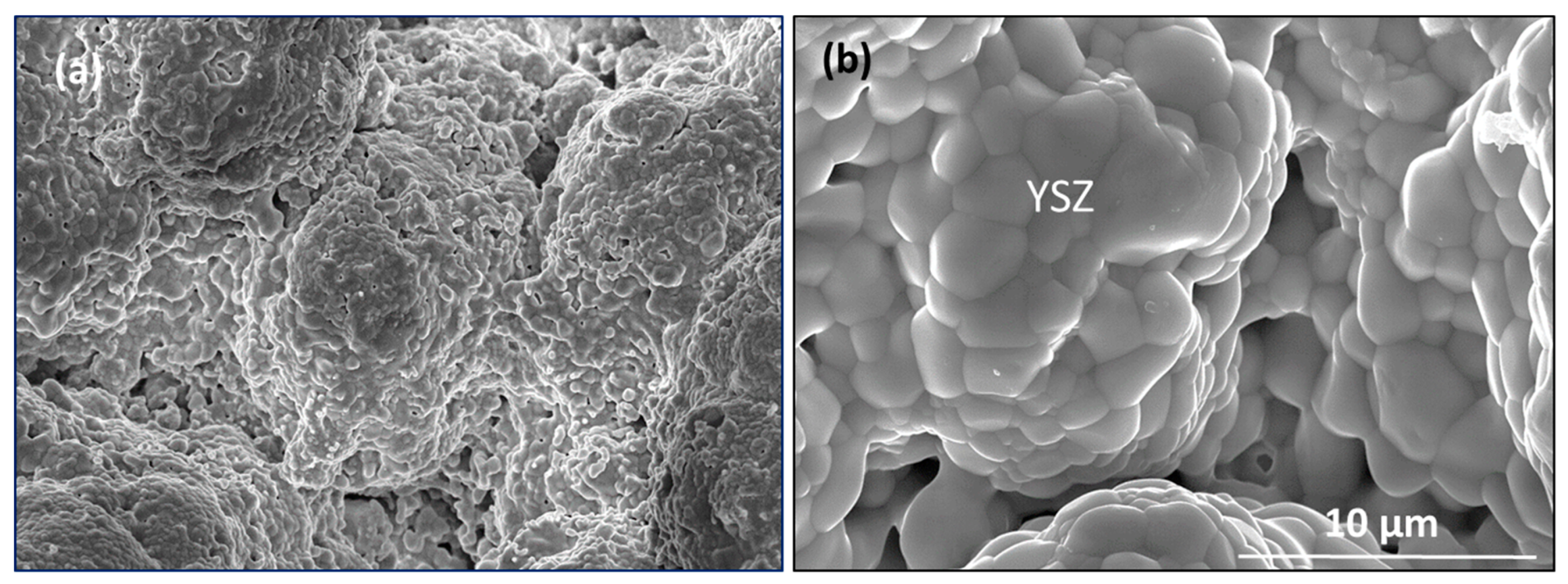 Coatings 10 00142 g009 Coatings 10 00142 g009