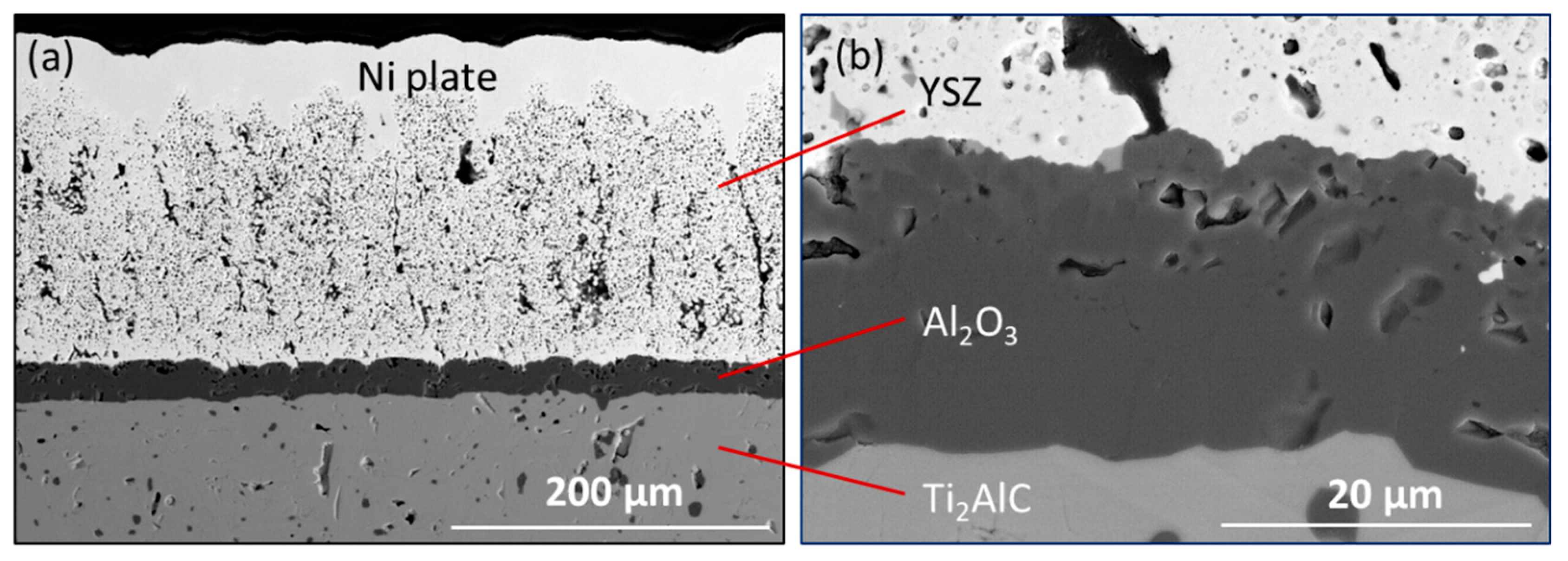 Coatings 10 00142 g010 Coatings 10 00142 g010