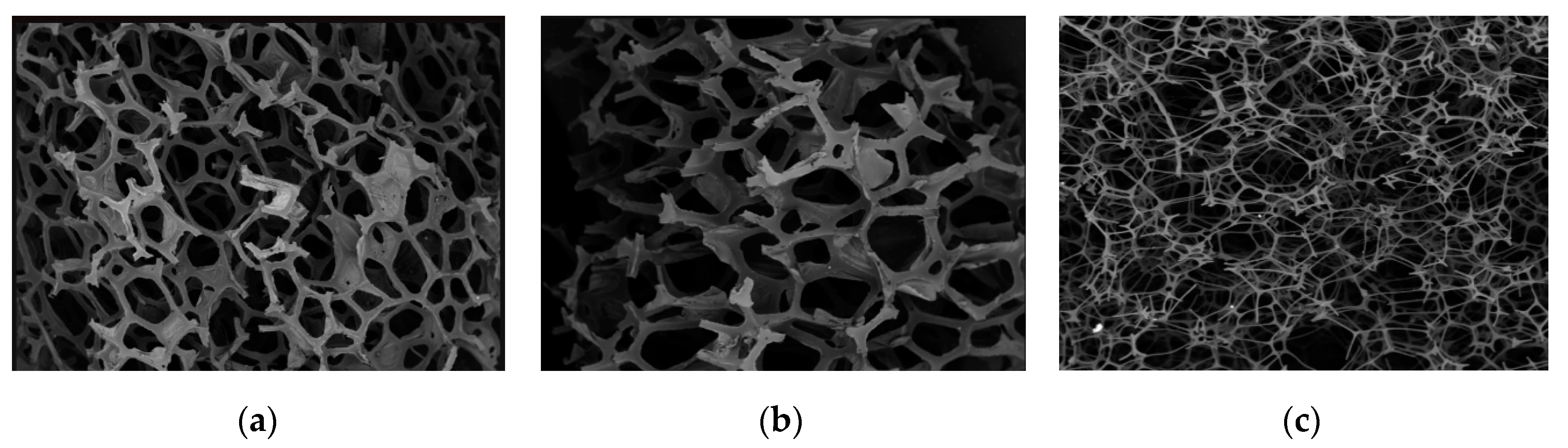 Coatings 10 00143 g003