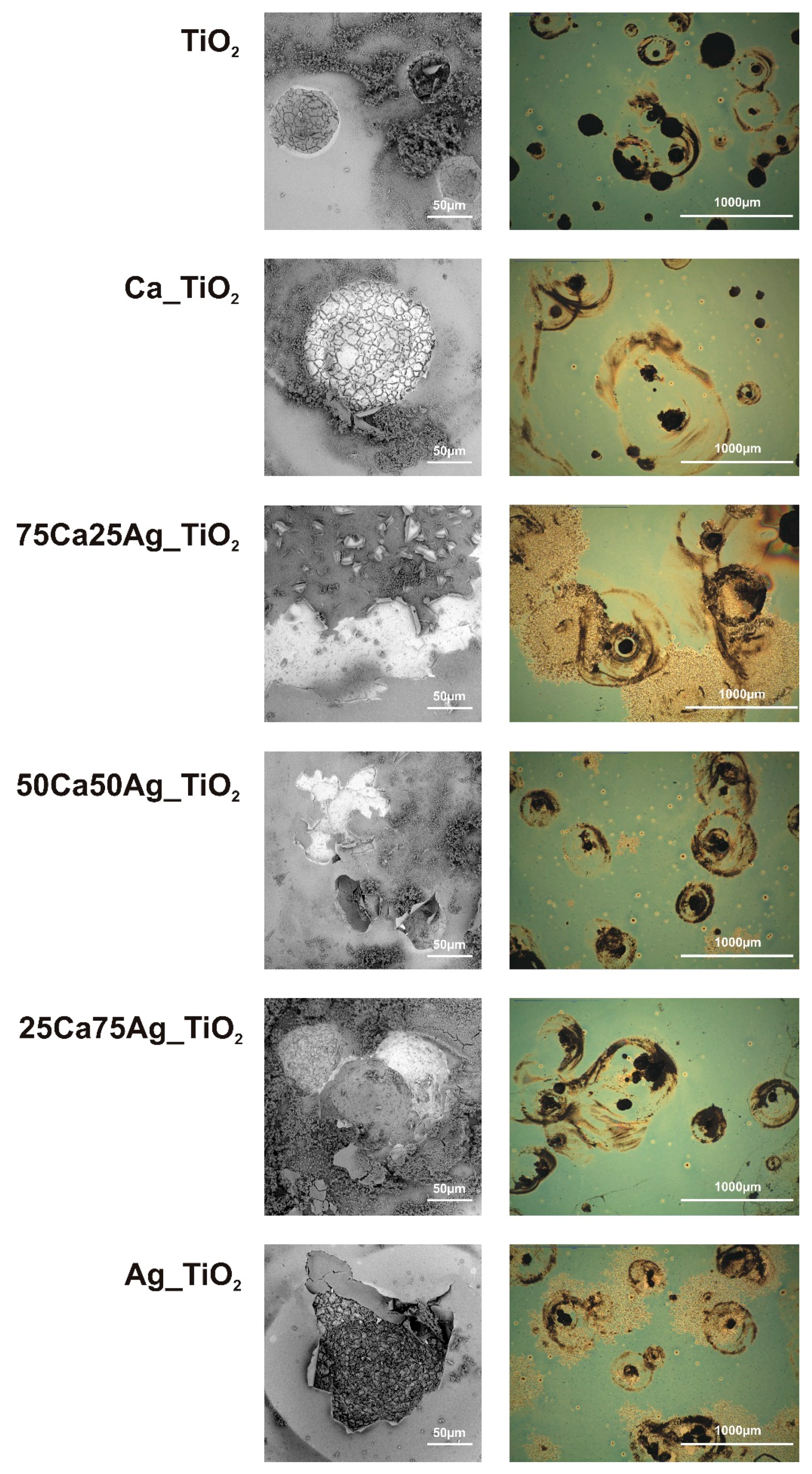 Coatings 10 00169 g005