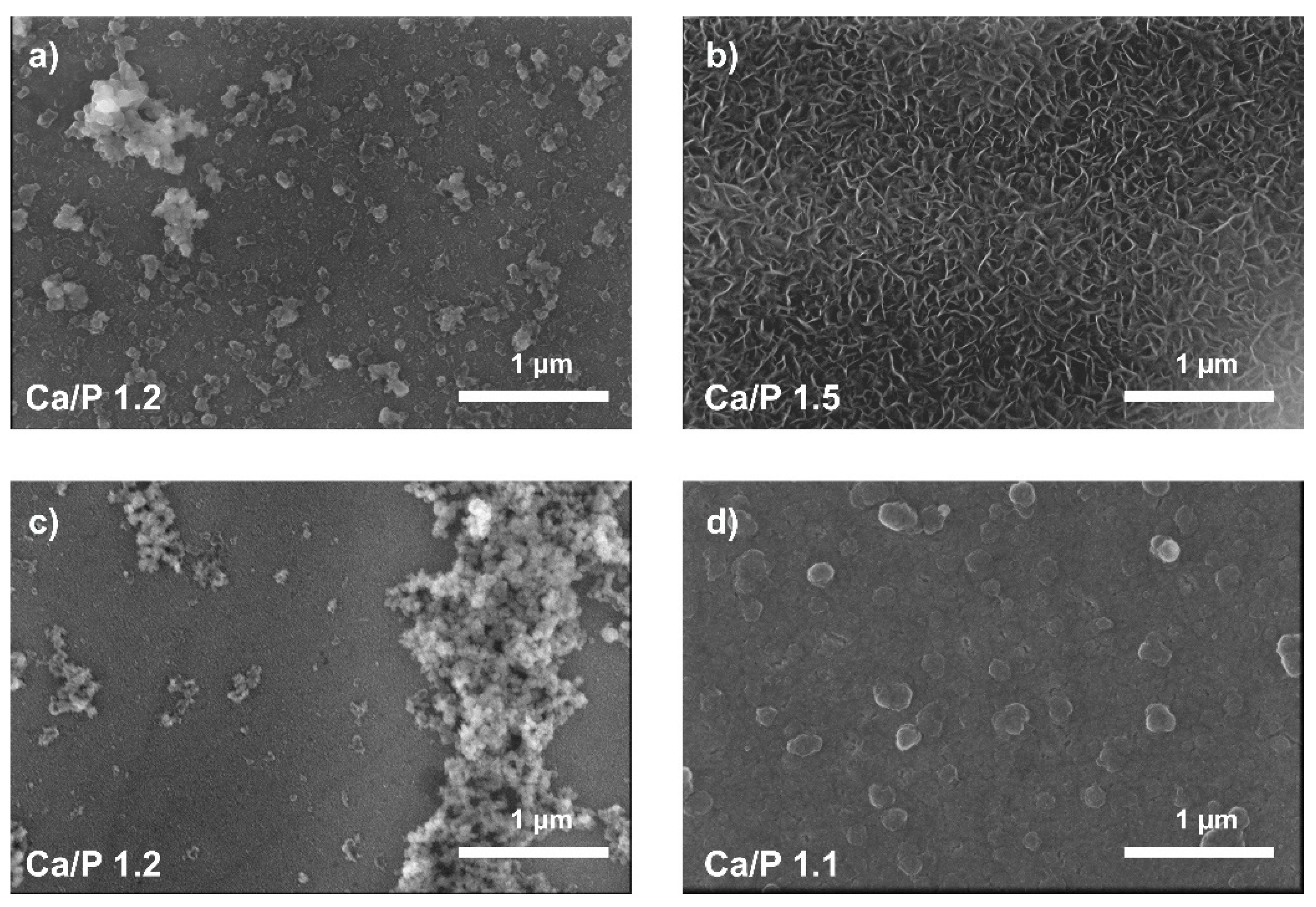 Coatings 10 00169 g006