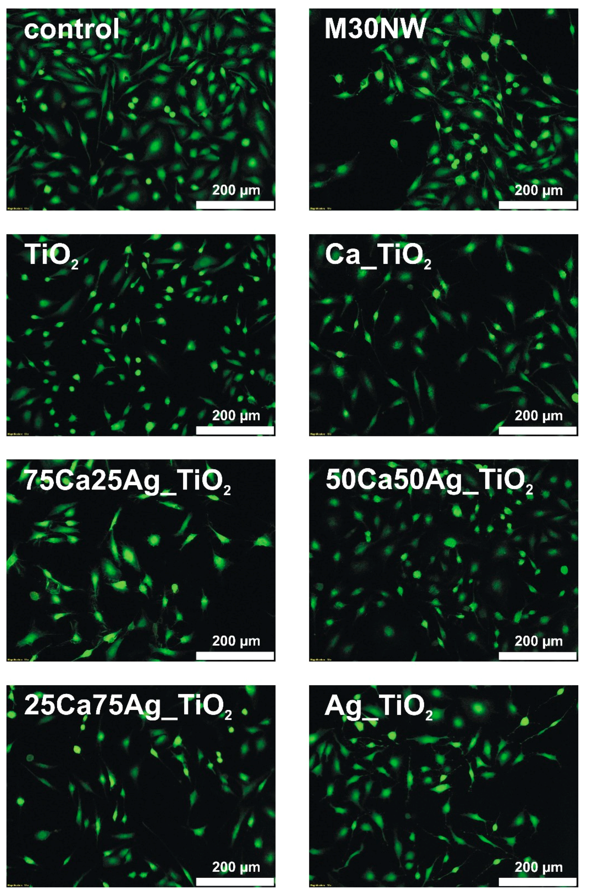 Coatings 10 00169 g010