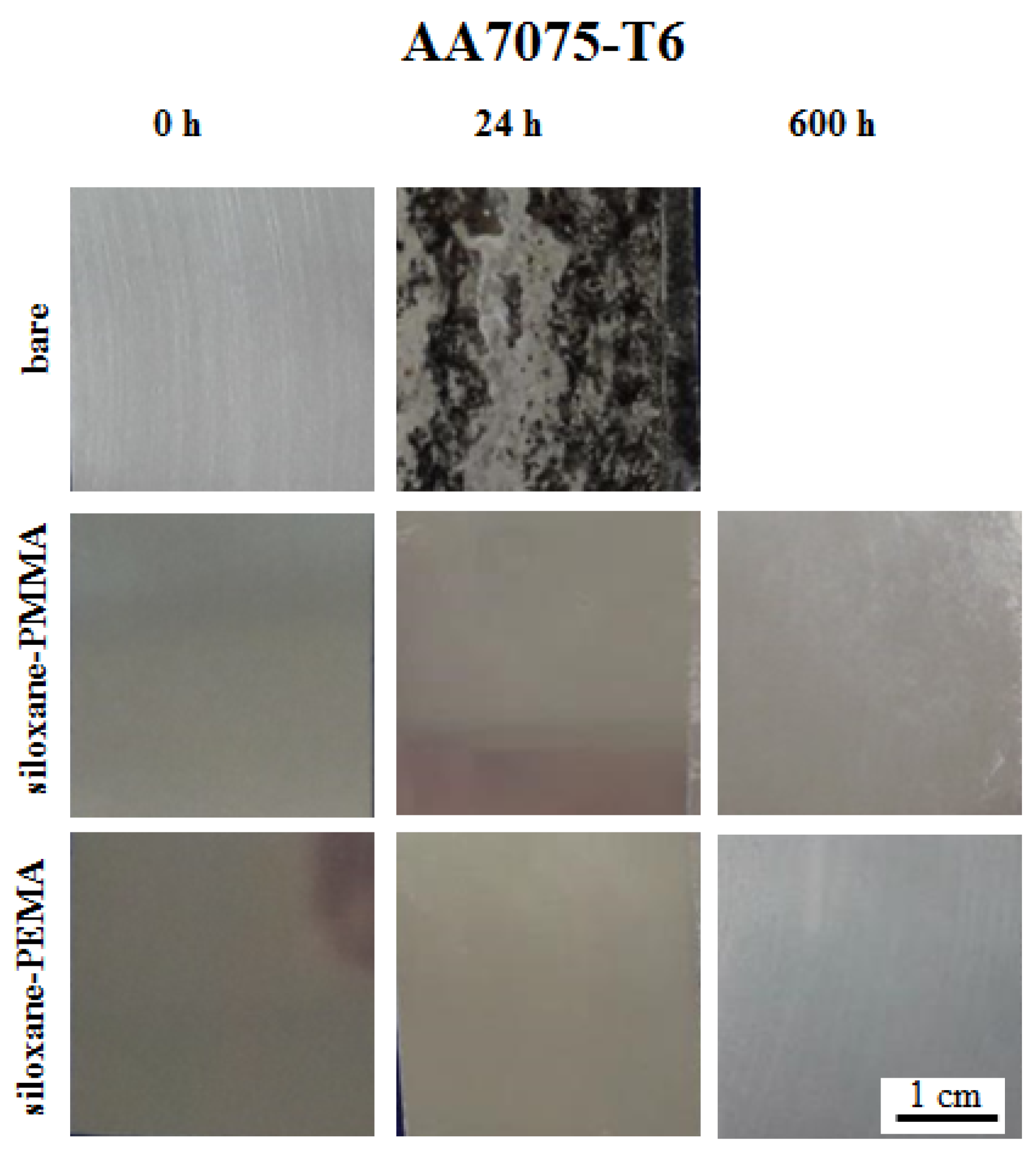 Coatings 10 00172 g011