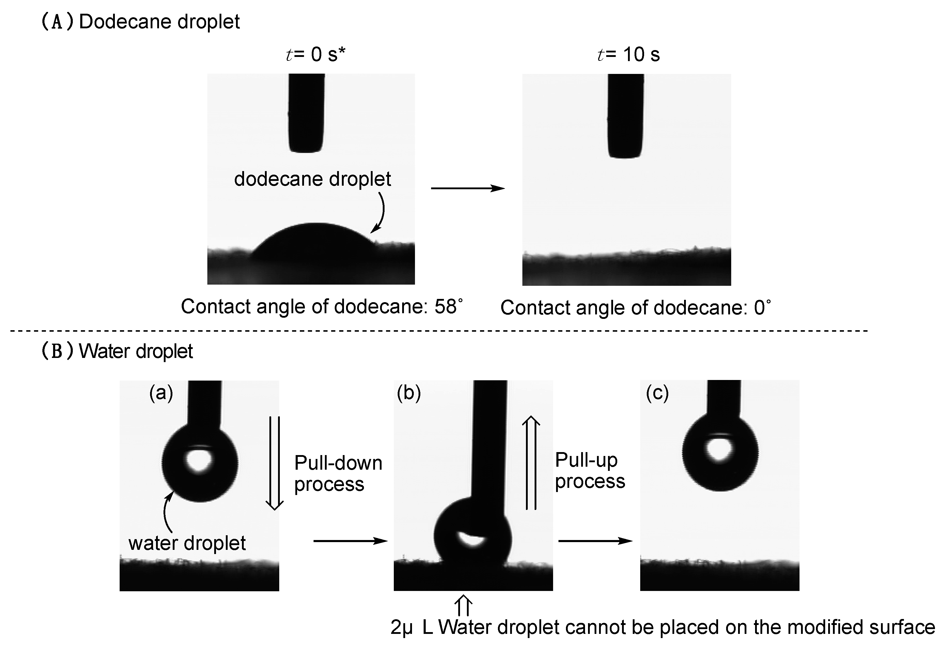 Coatings 10 00174 g002