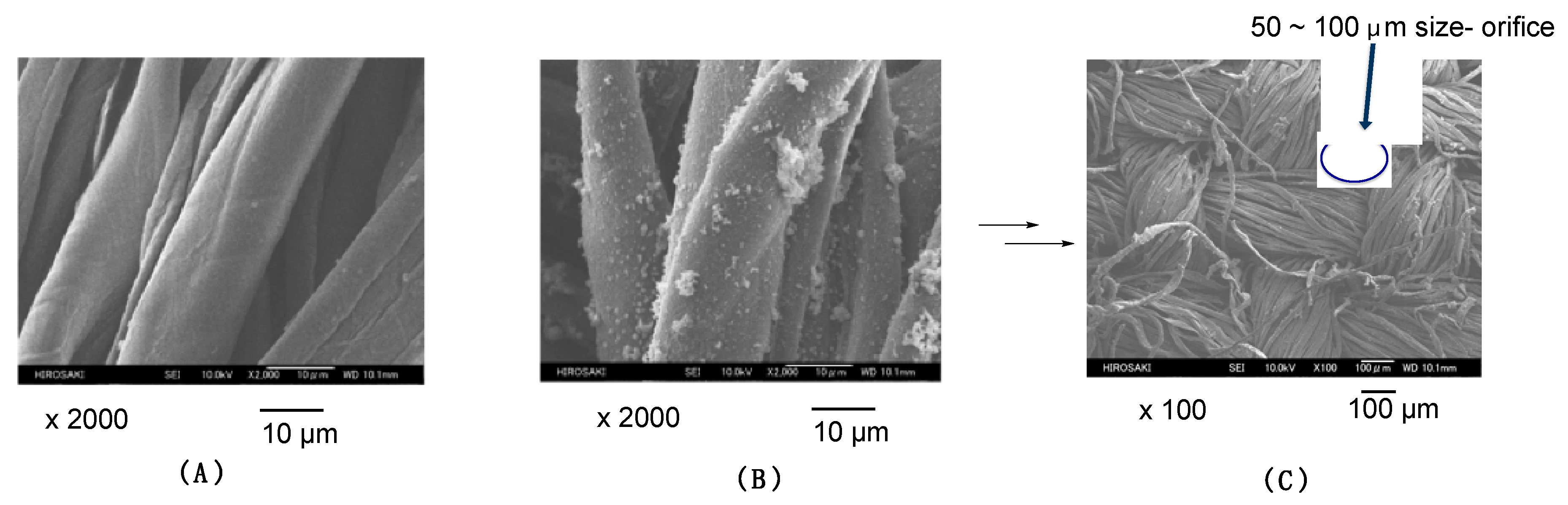 Coatings 10 00174 g003