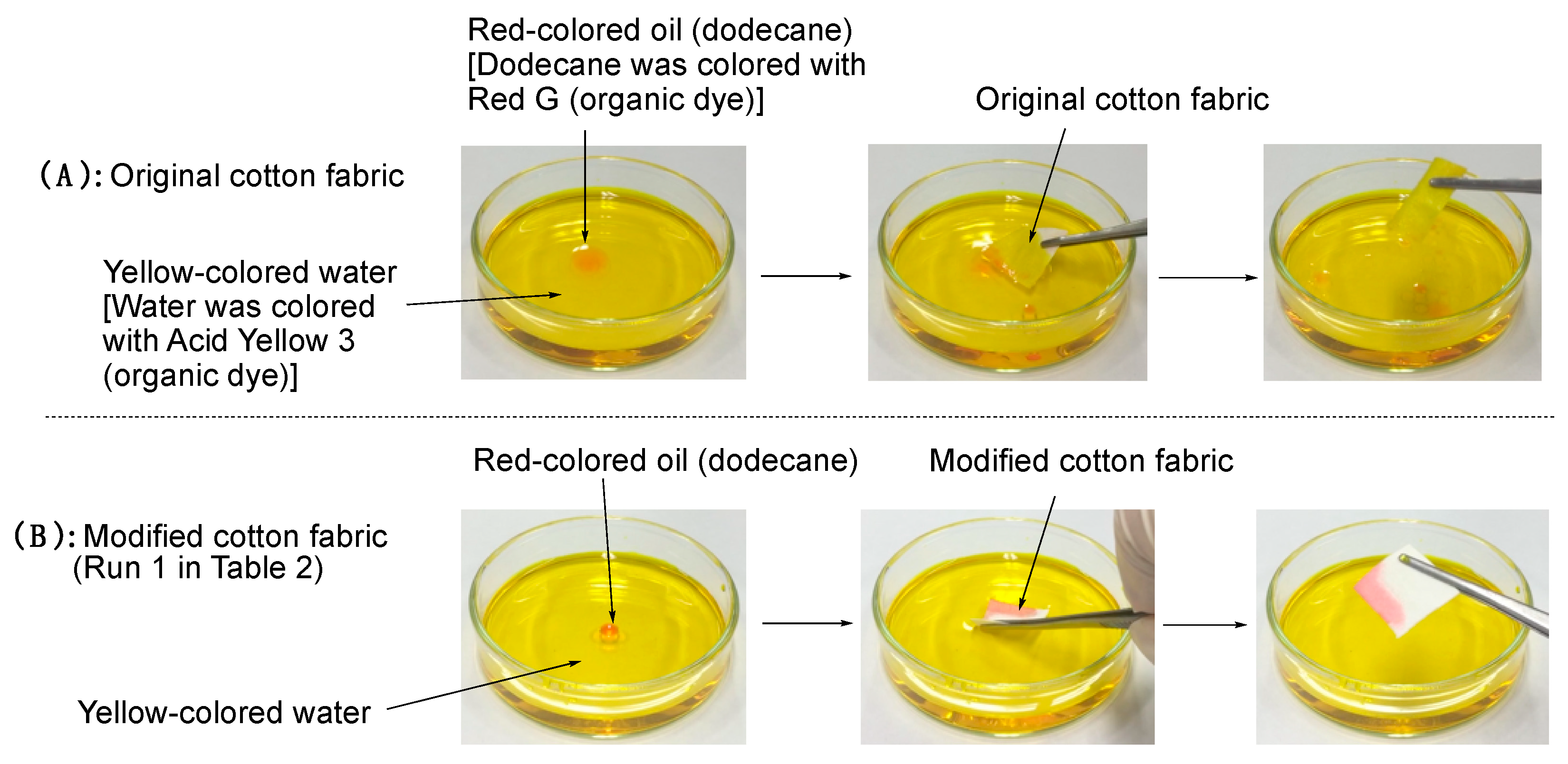 Coatings 10 00174 g008