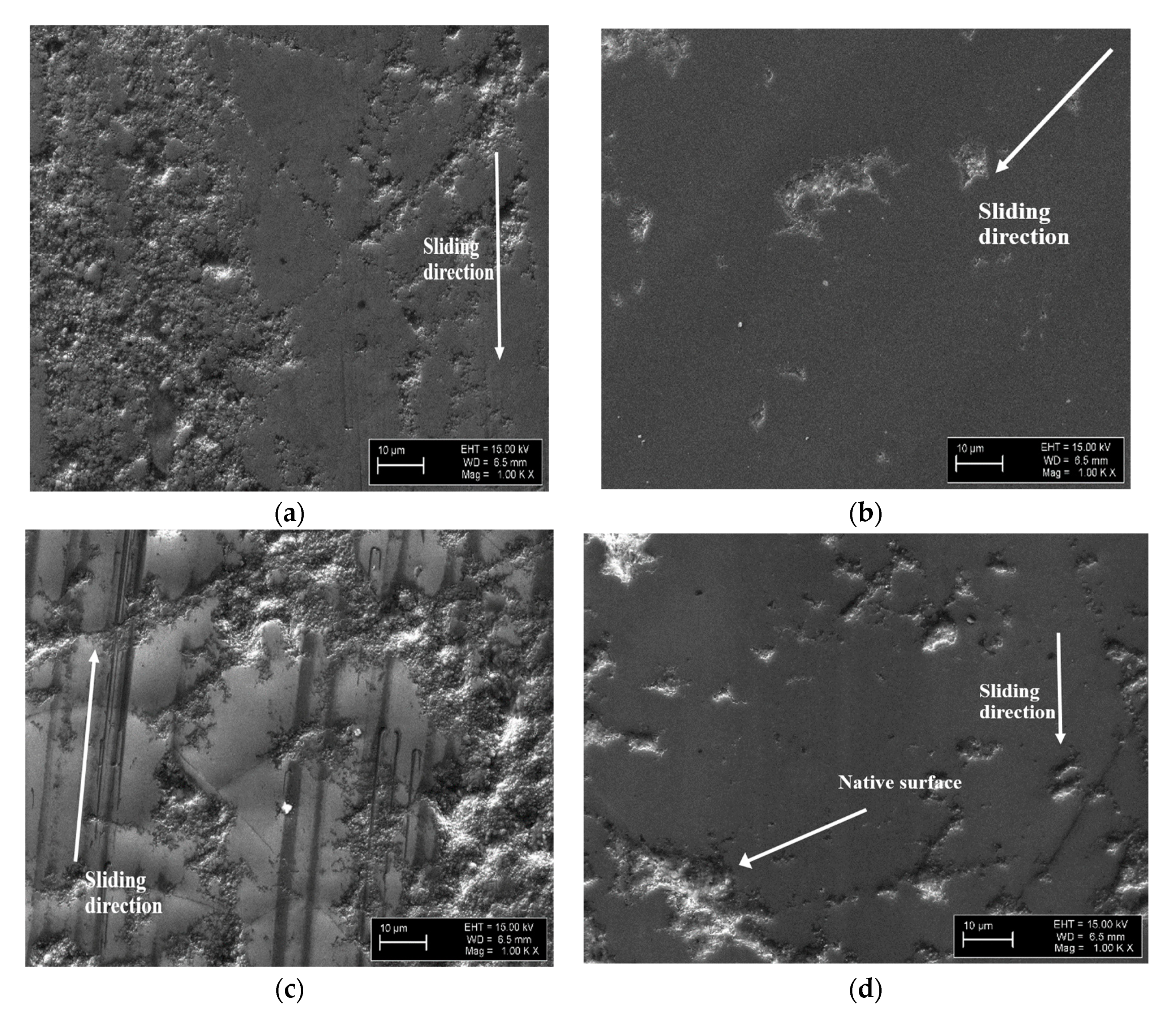 Coatings 10 00175 g004 Coatings 10 00175 g004