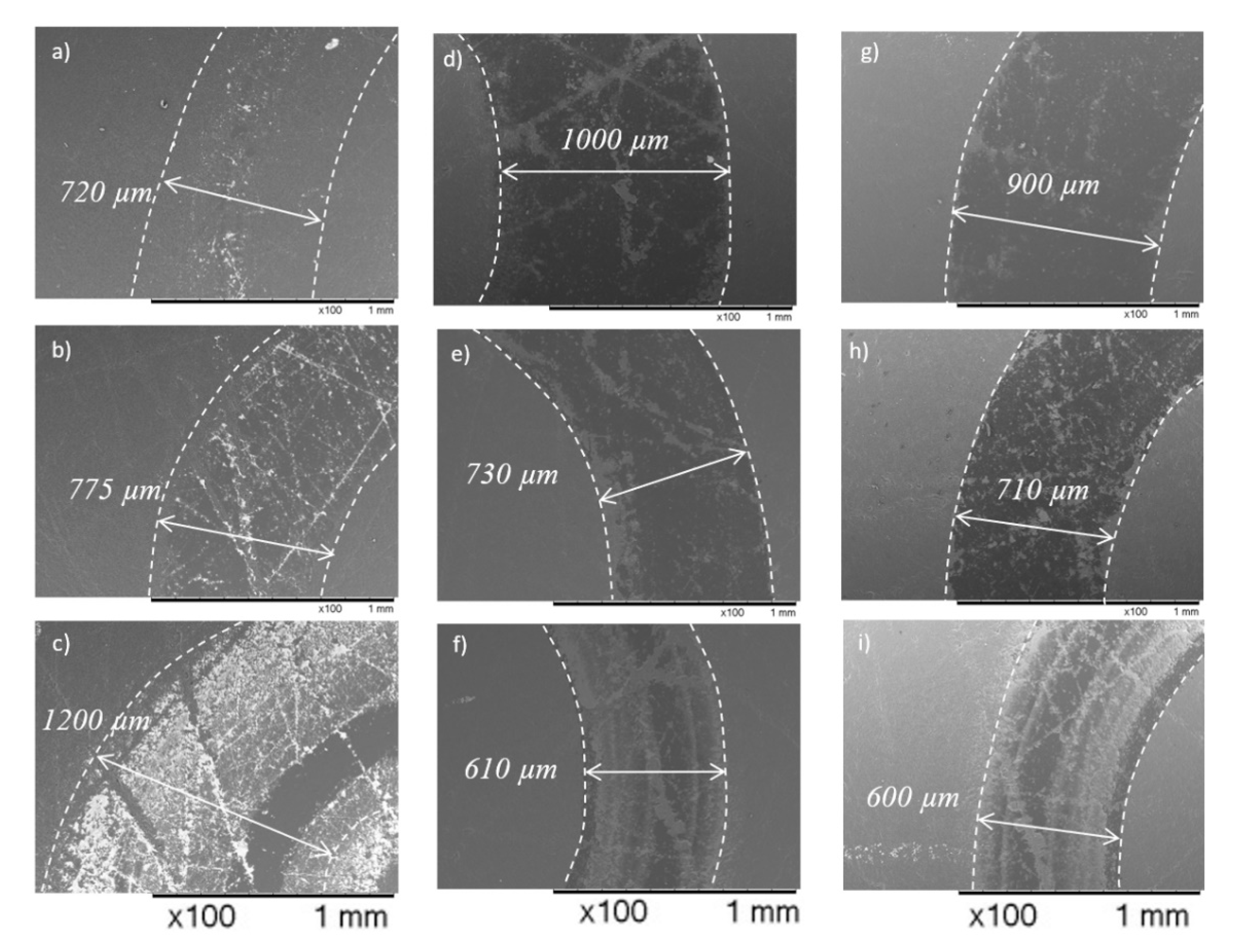 Coatings 10 00175 g007 Coatings 10 00175 g007