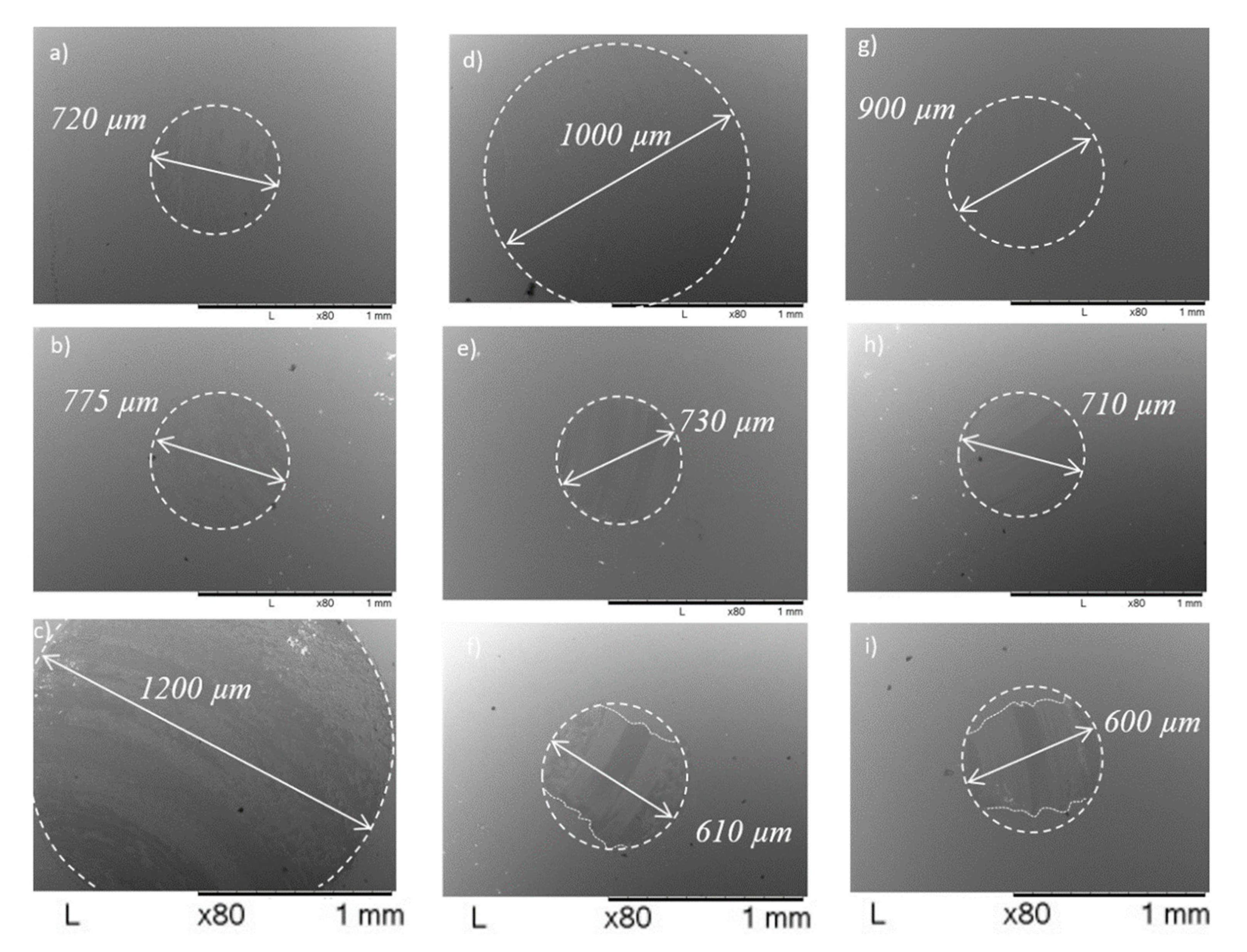Coatings 10 00175 g008 Coatings 10 00175 g008