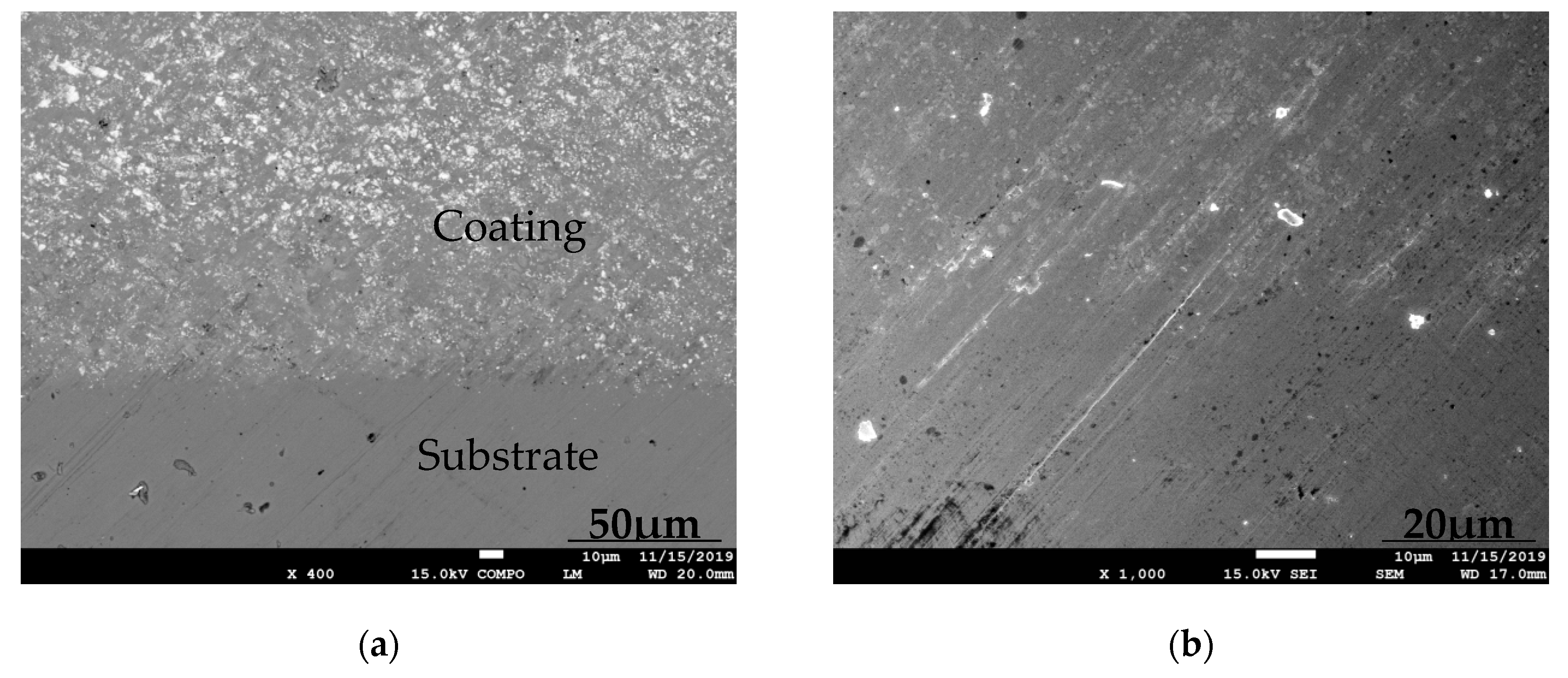 Coatings 10 00176 g002 Coatings 10 00176 g002