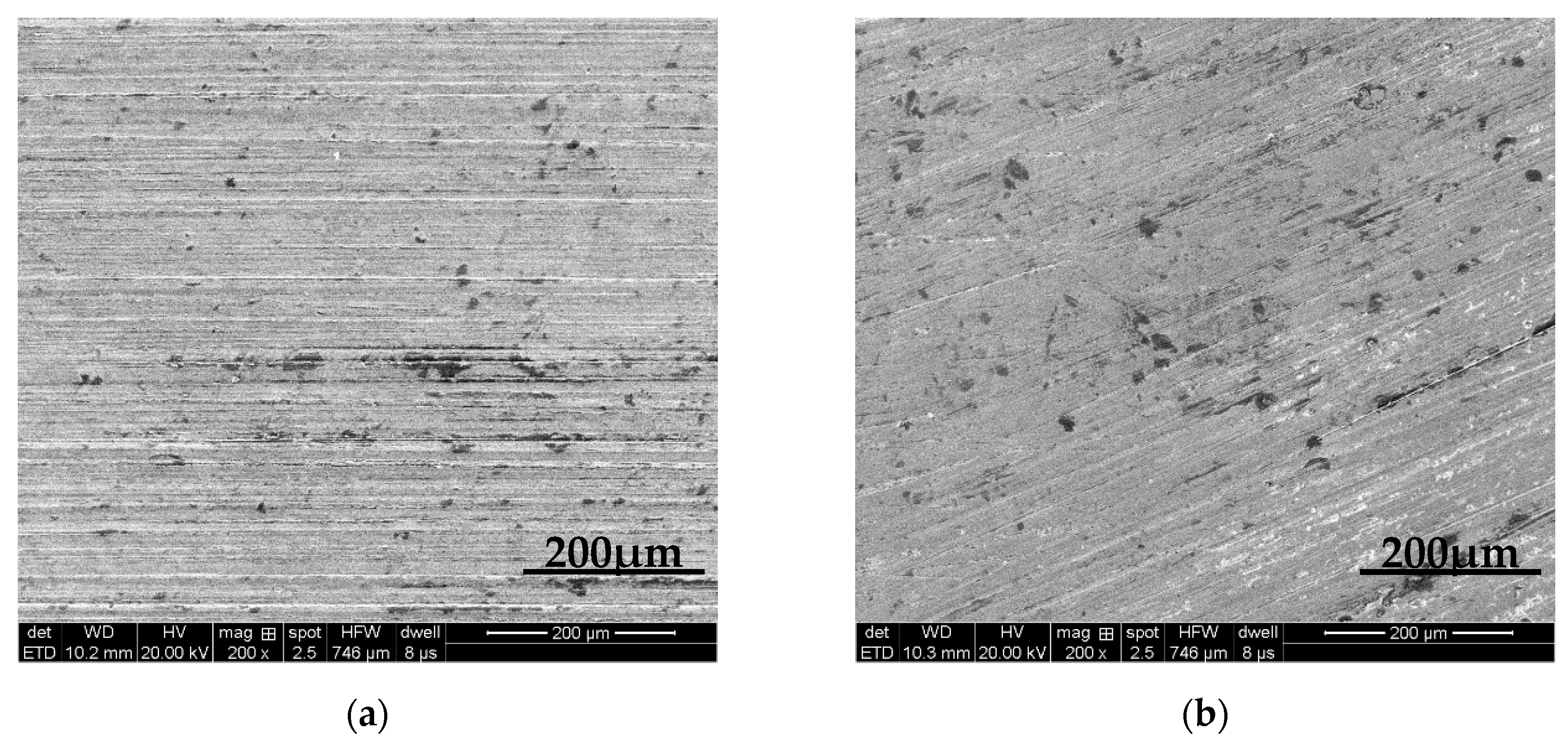 Coatings 10 00176 g007 Coatings 10 00176 g007