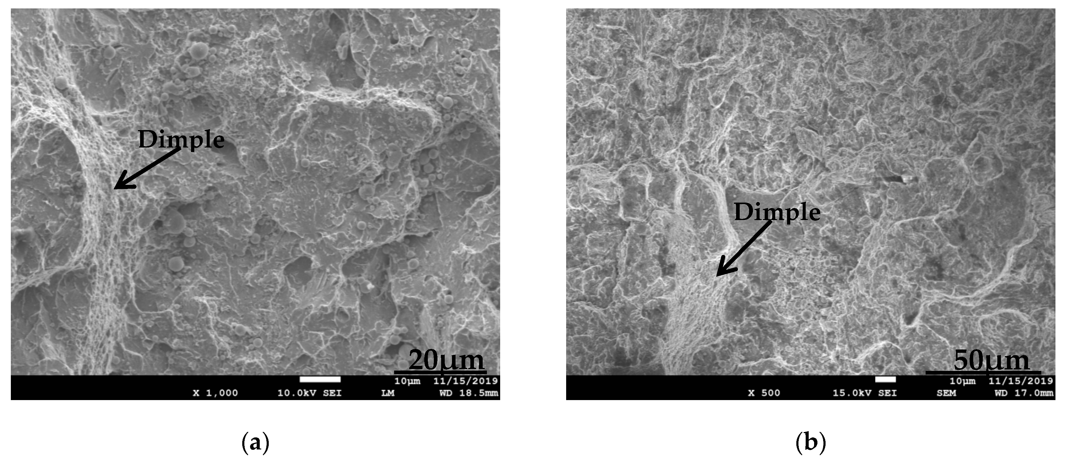 Coatings 10 00176 g011 Coatings 10 00176 g011
