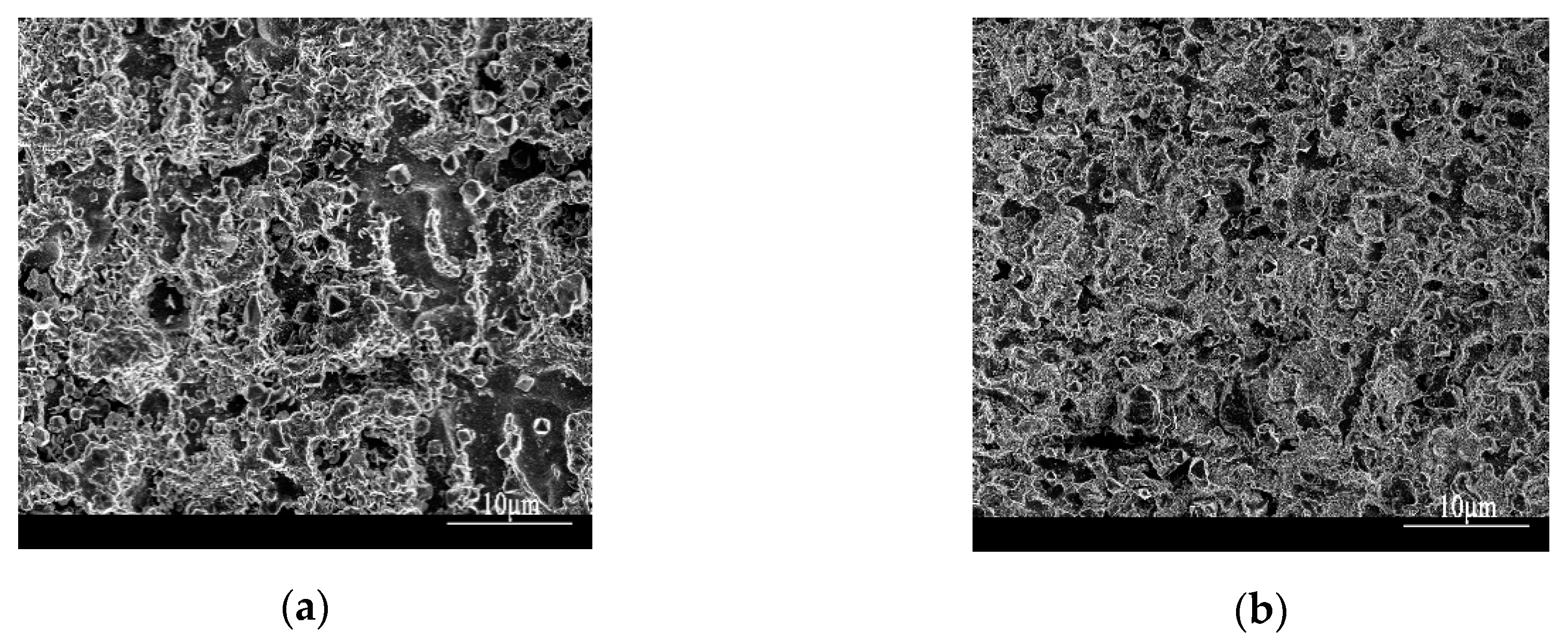 Coatings 10 00176 g014a Coatings 10 00176 g014a