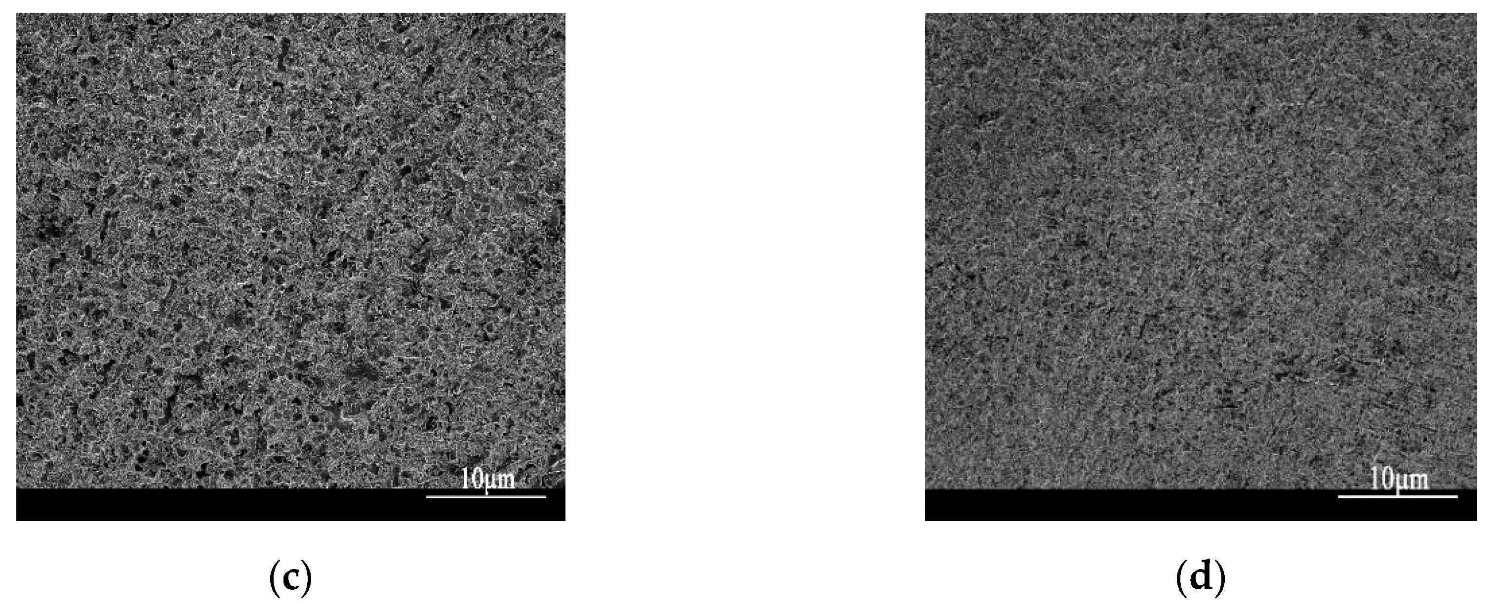 Coatings 10 00176 g014b Coatings 10 00176 g014b