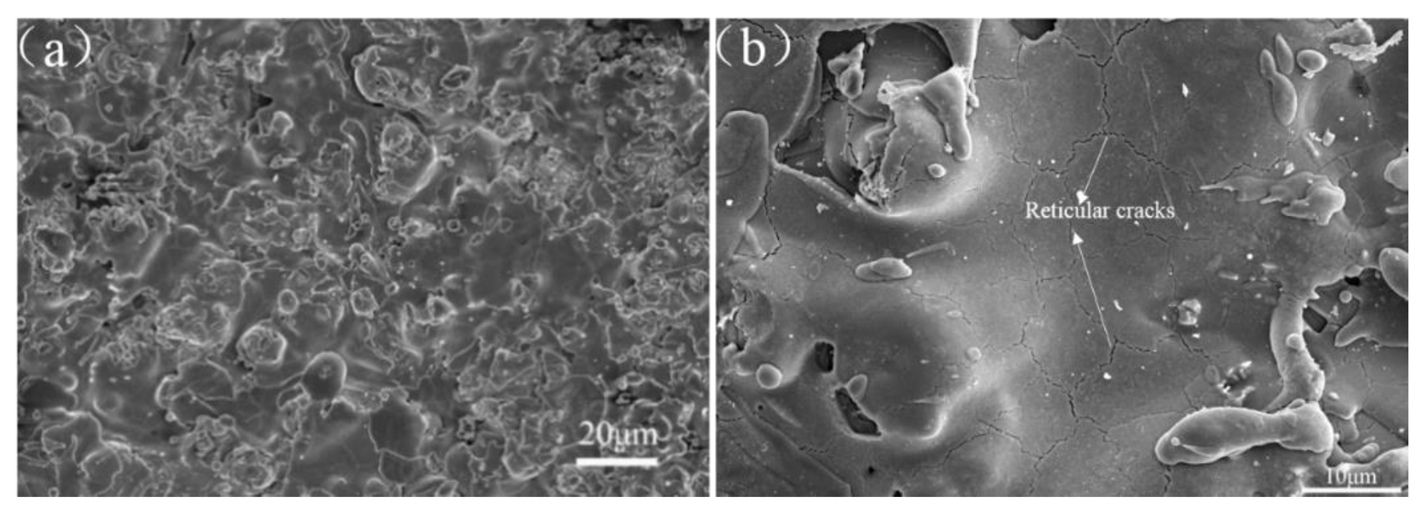 Coatings 10 00177 g003 Coatings 10 00177 g003