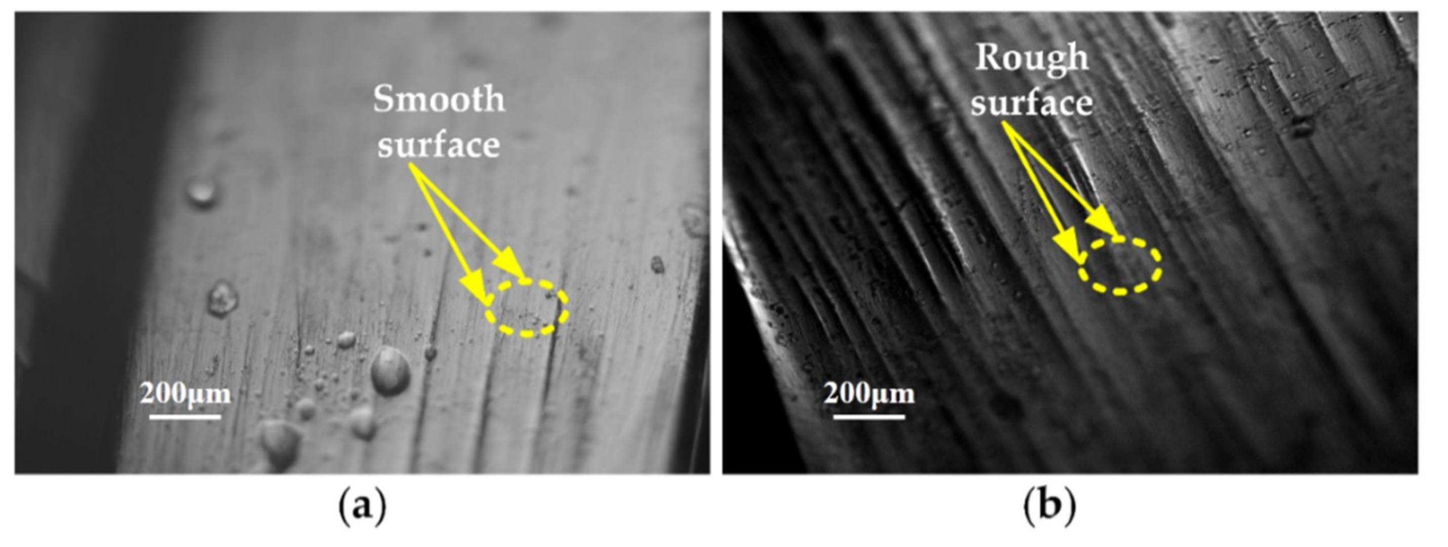 Coatings 10 00178 g002 Coatings 10 00178 g002