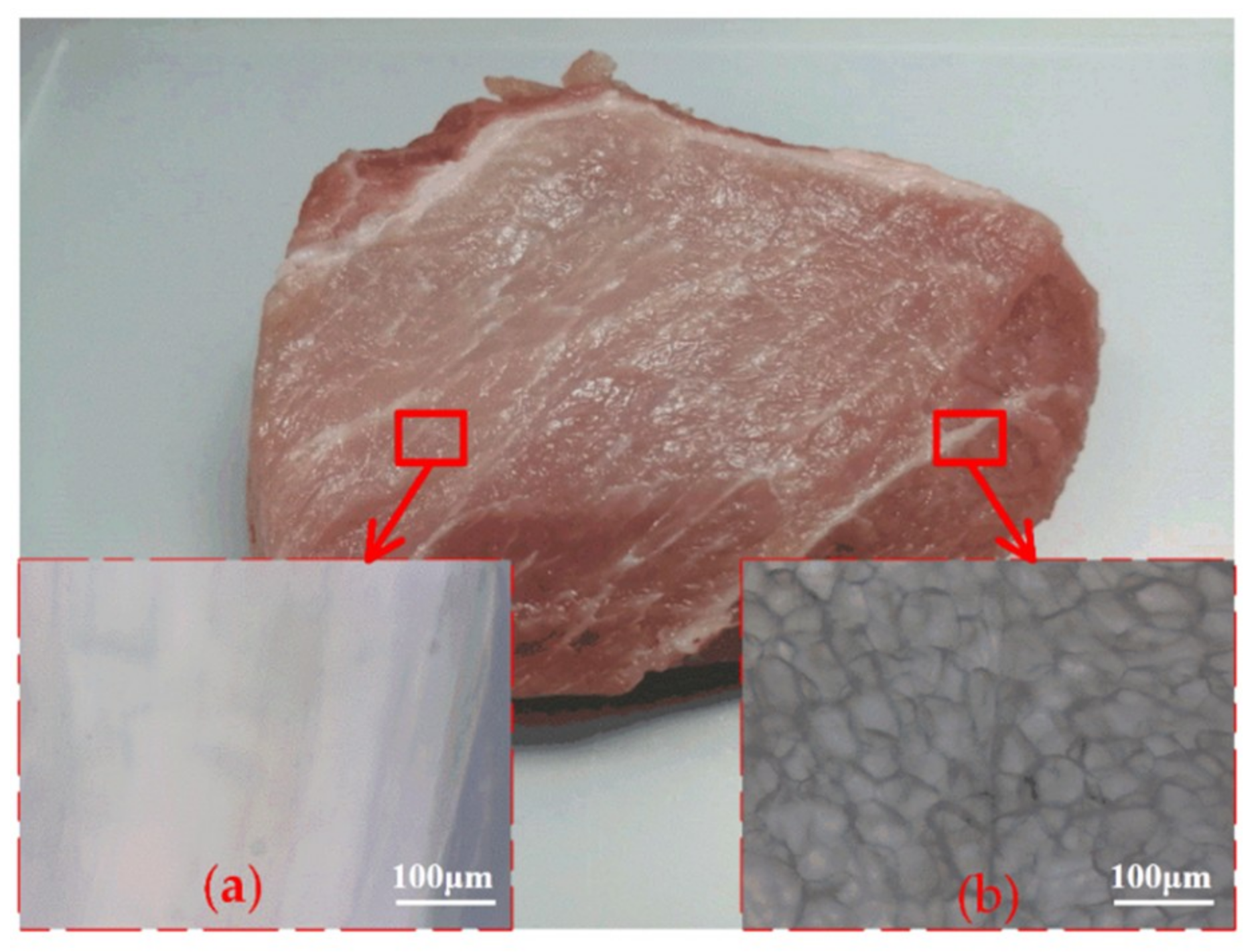 Coatings 10 00178 g003 Coatings 10 00178 g003