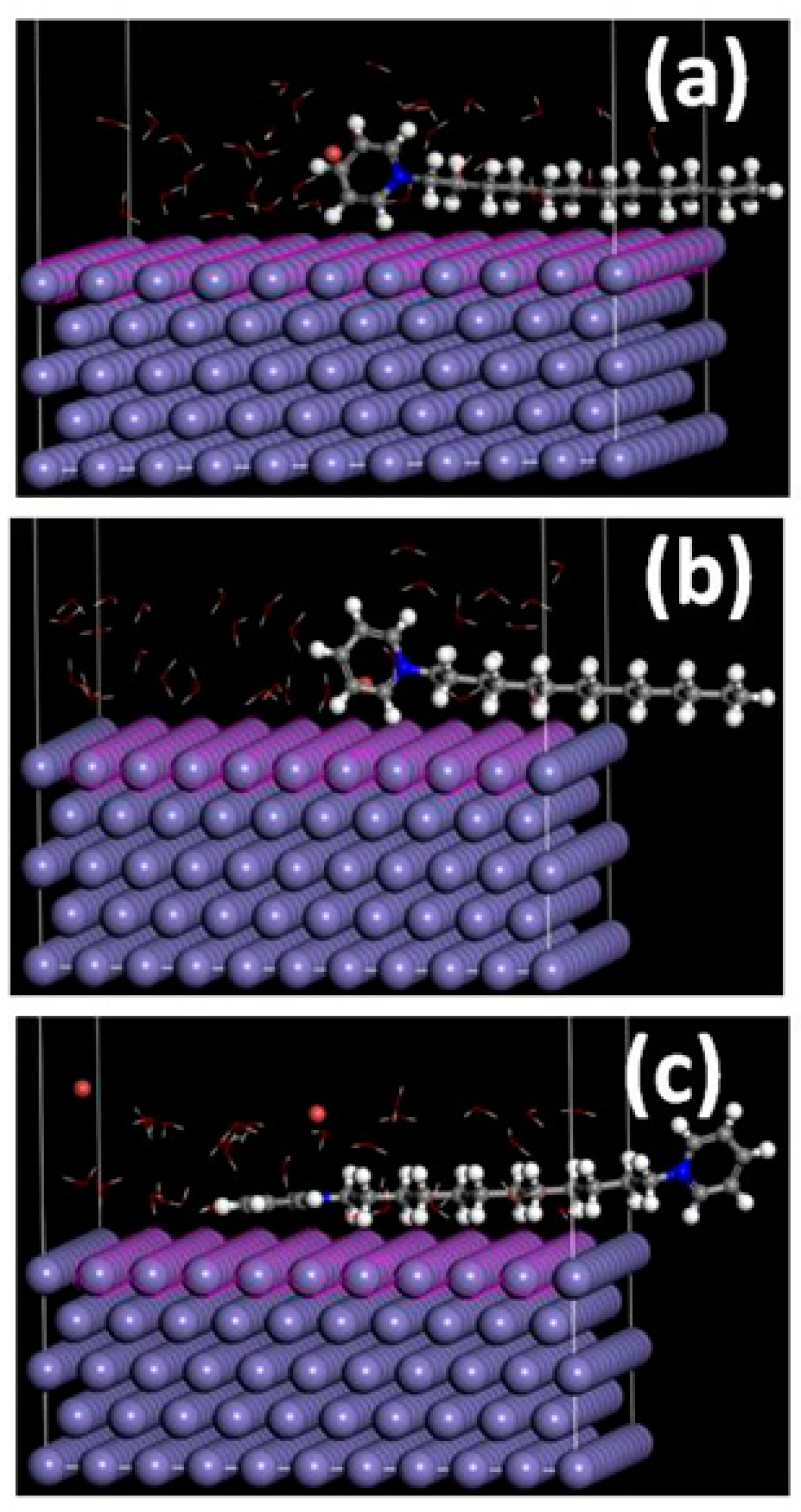 Coatings 10 00185 g008