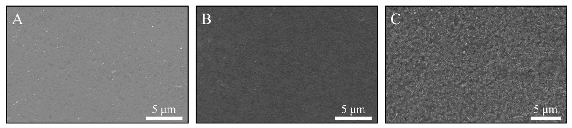 Coatings 10 00190 g002 Coatings 10 00190 g002