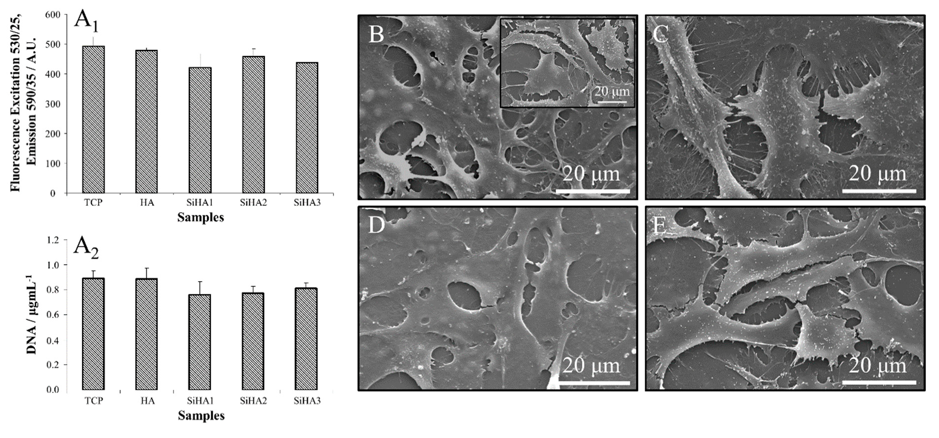 Coatings 10 00190 g010 Coatings 10 00190 g010