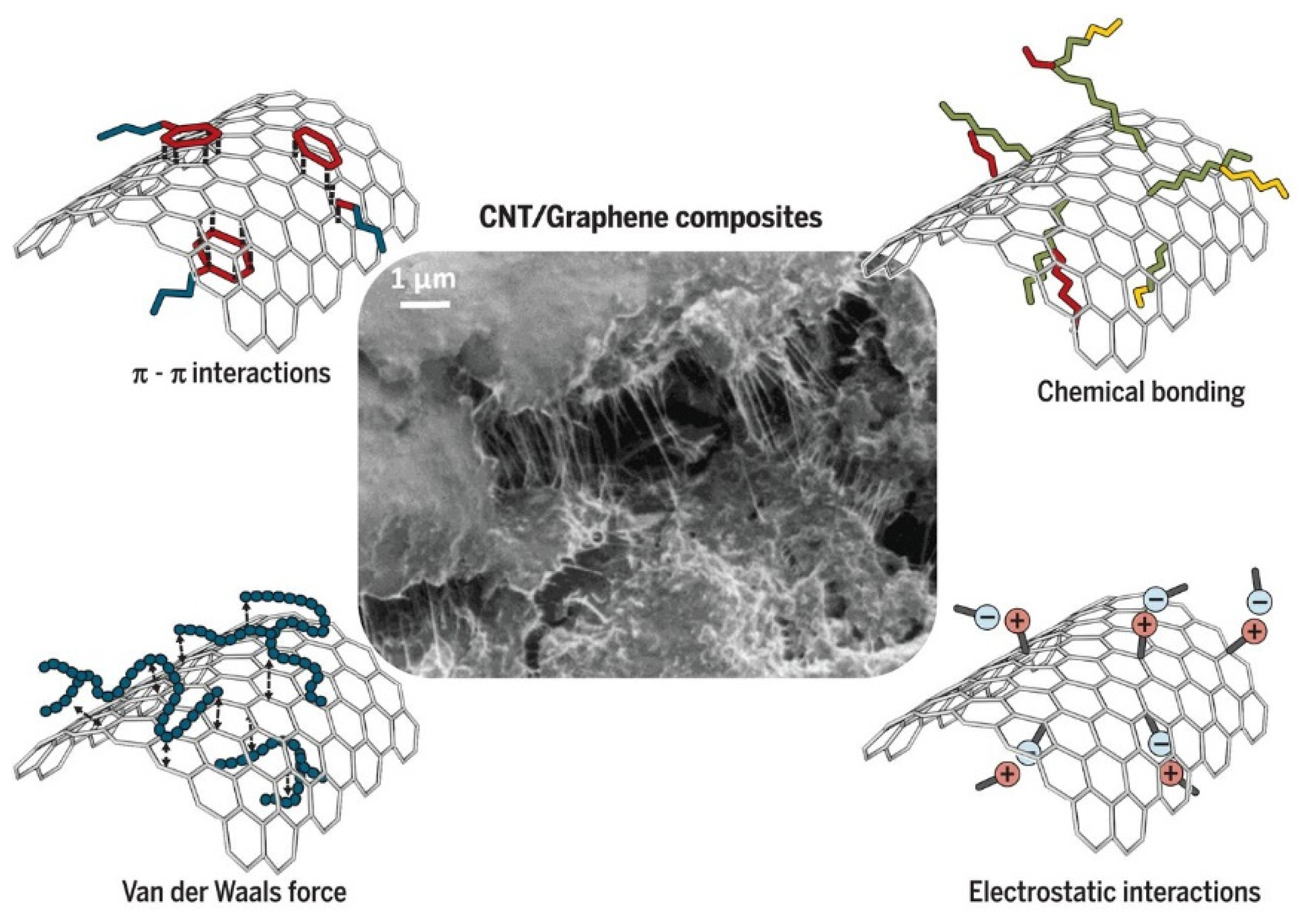 Coatings 10 00193 g001