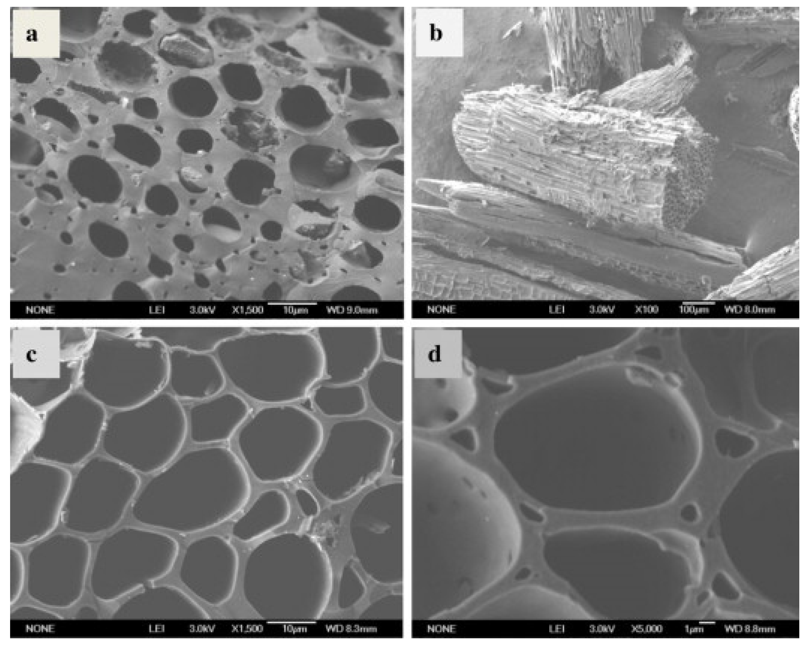 Coatings 10 00193 g002