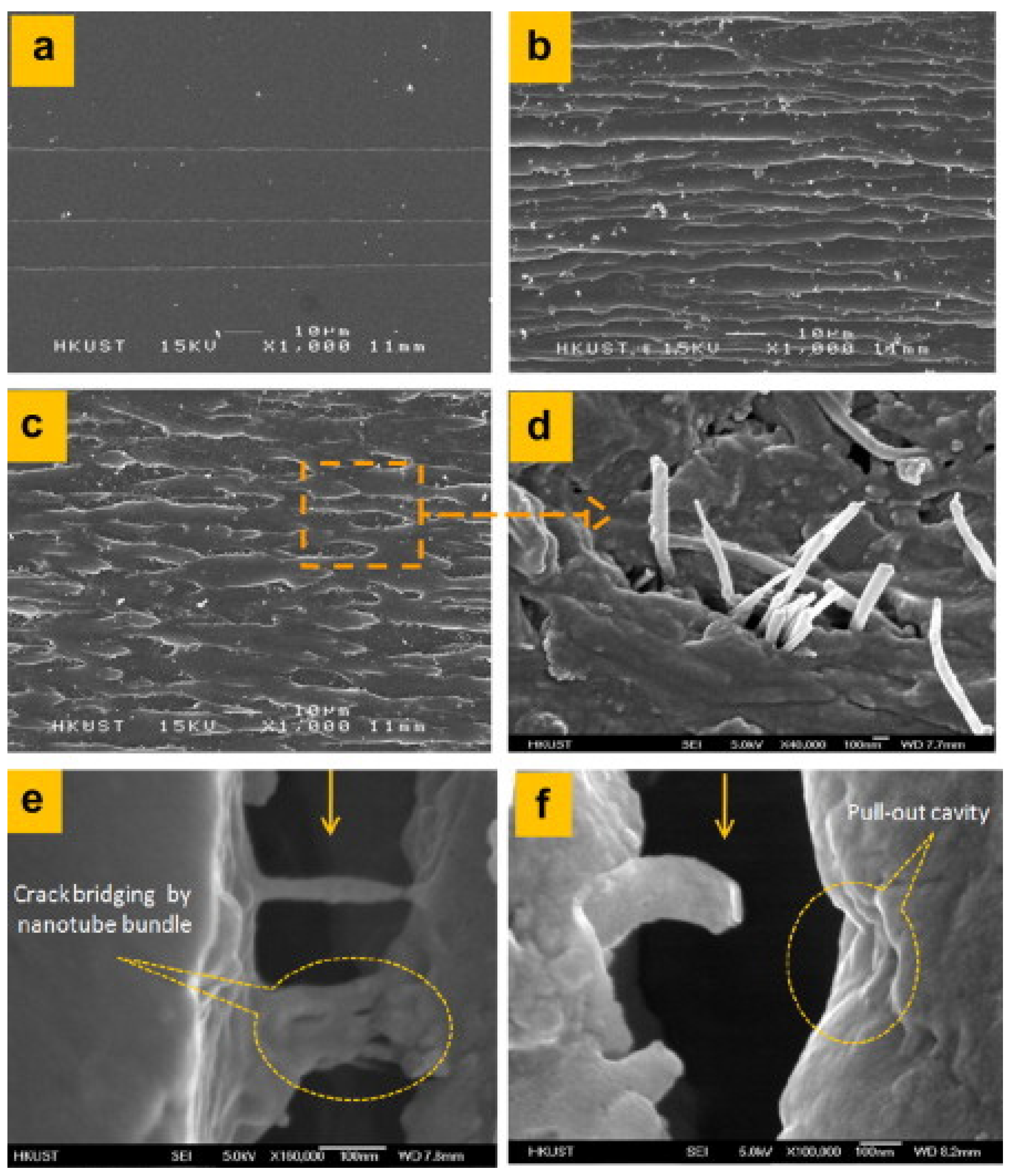 Coatings 10 00193 g012