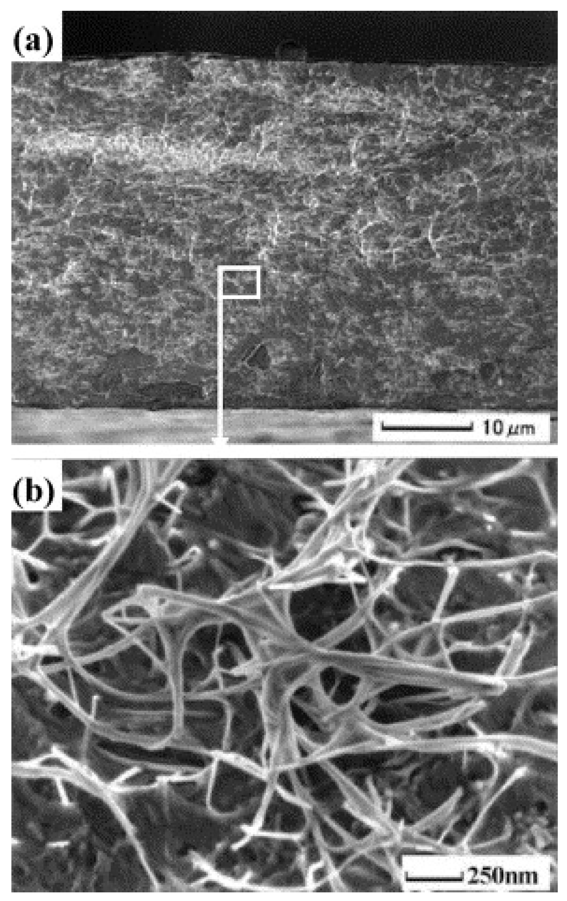 Coatings 10 00193 g016