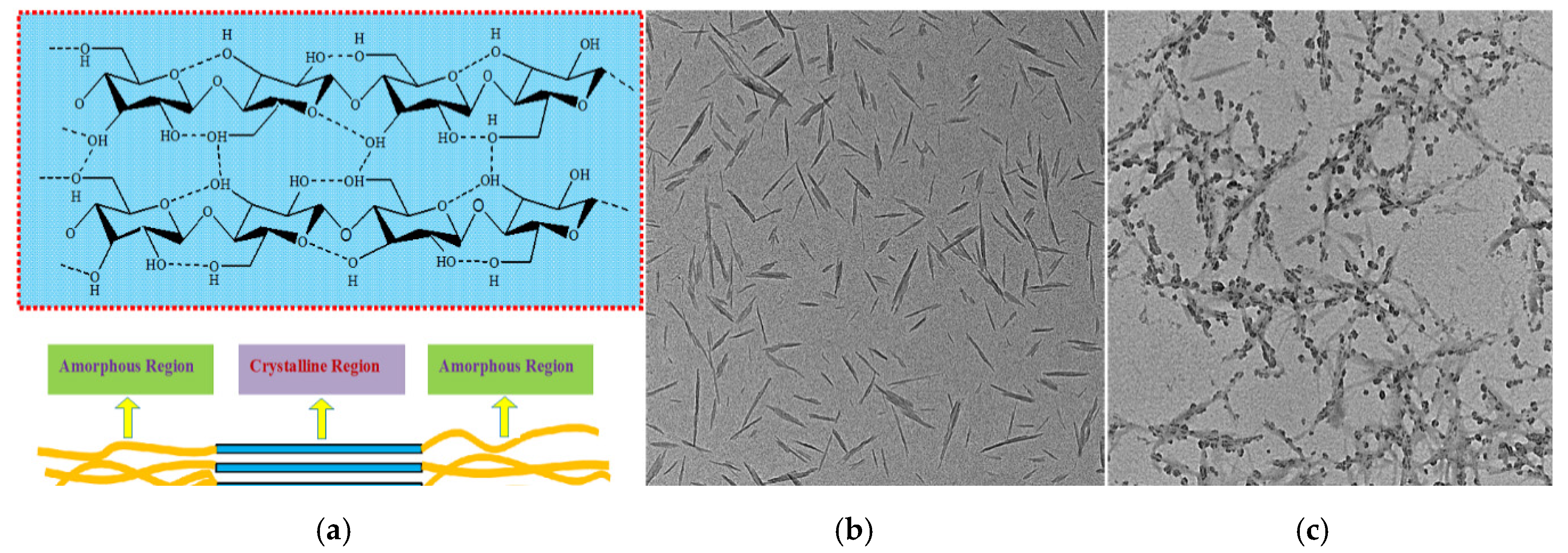 Coatings 10 00193 g025