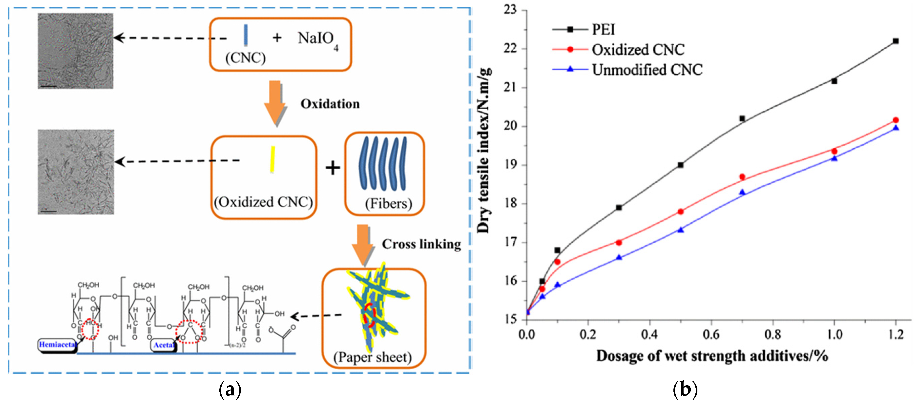 Coatings 10 00193 g027
