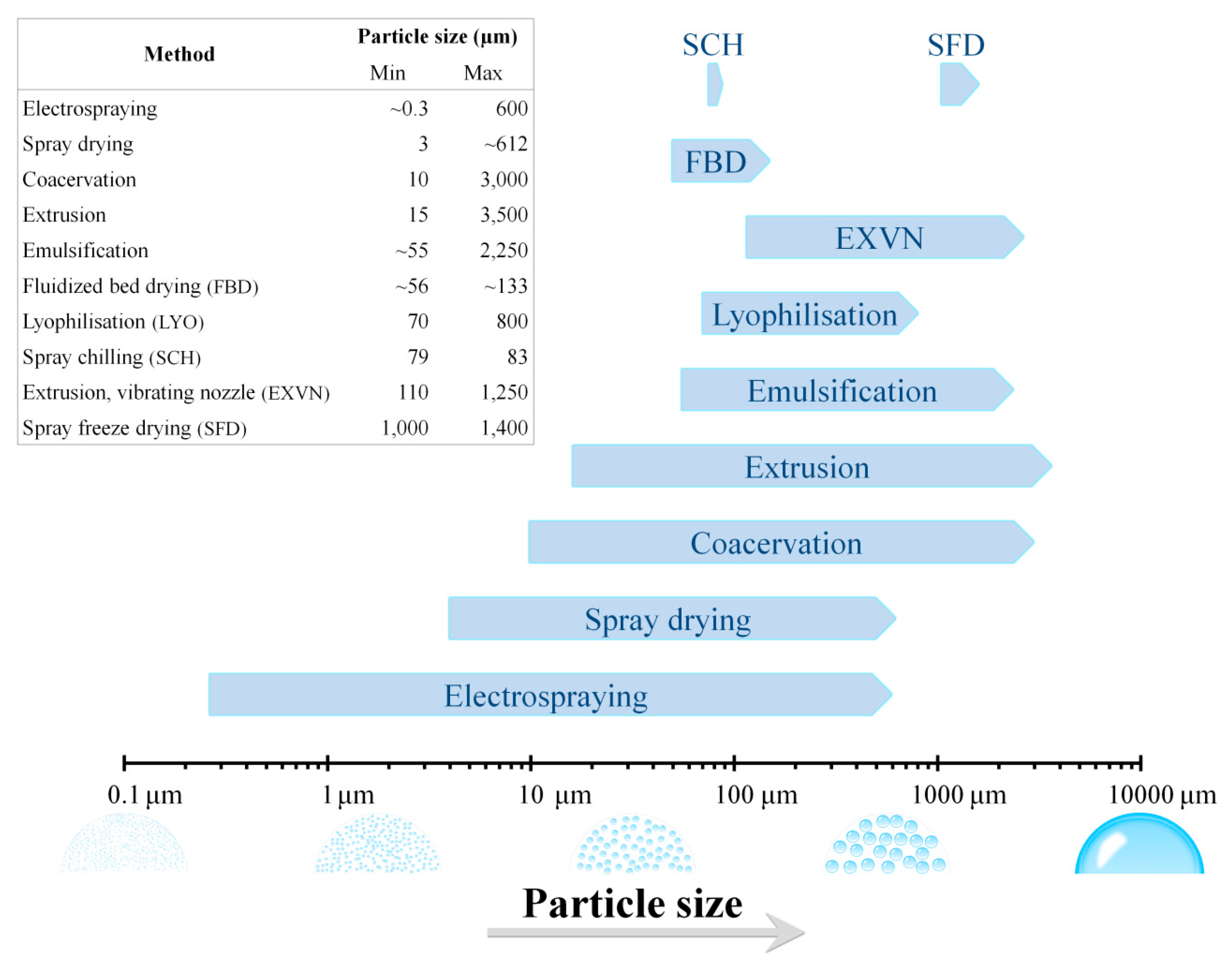 Coatings 10 00197 g001