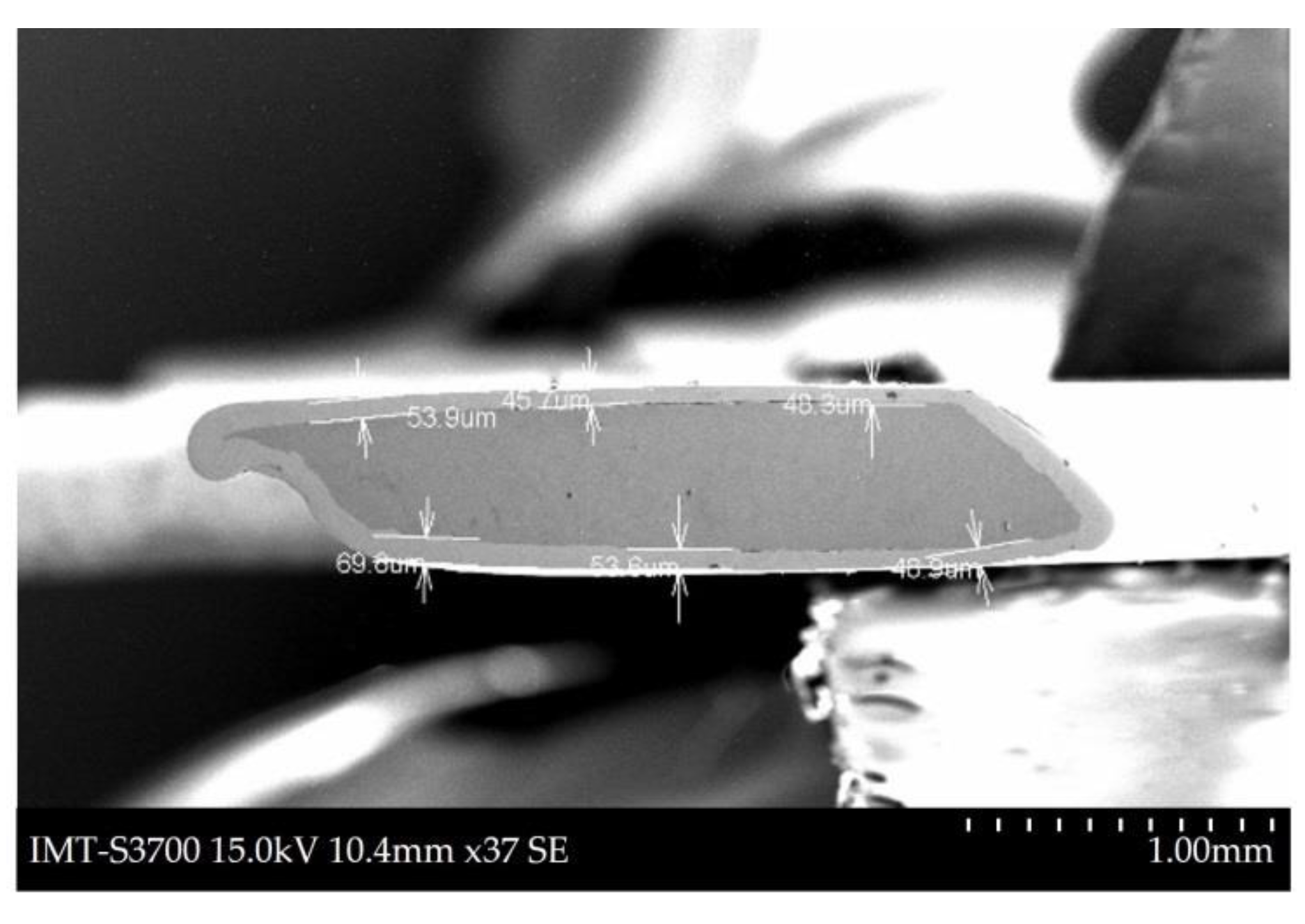 Coatings 10 00199 g001