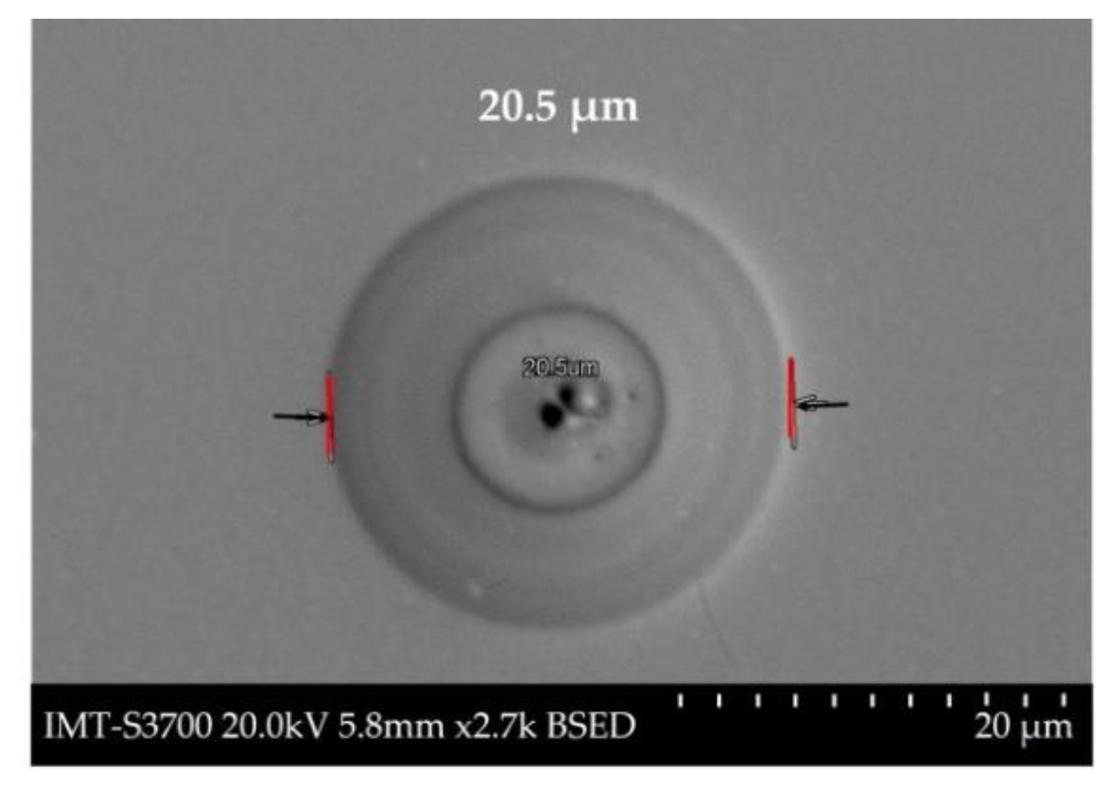 Coatings 10 00199 g003