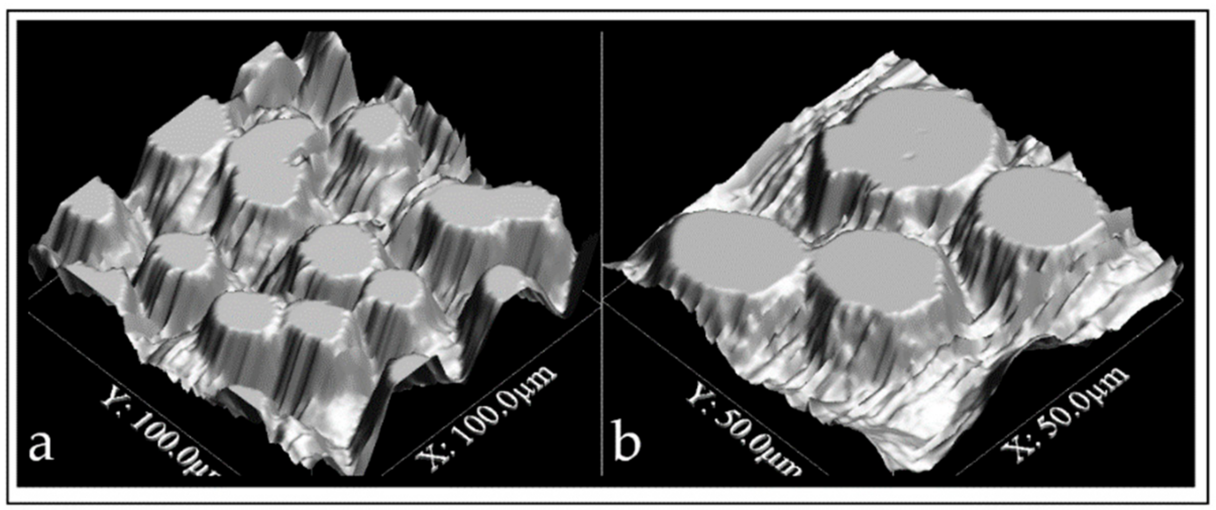 Coatings 10 00201 g001