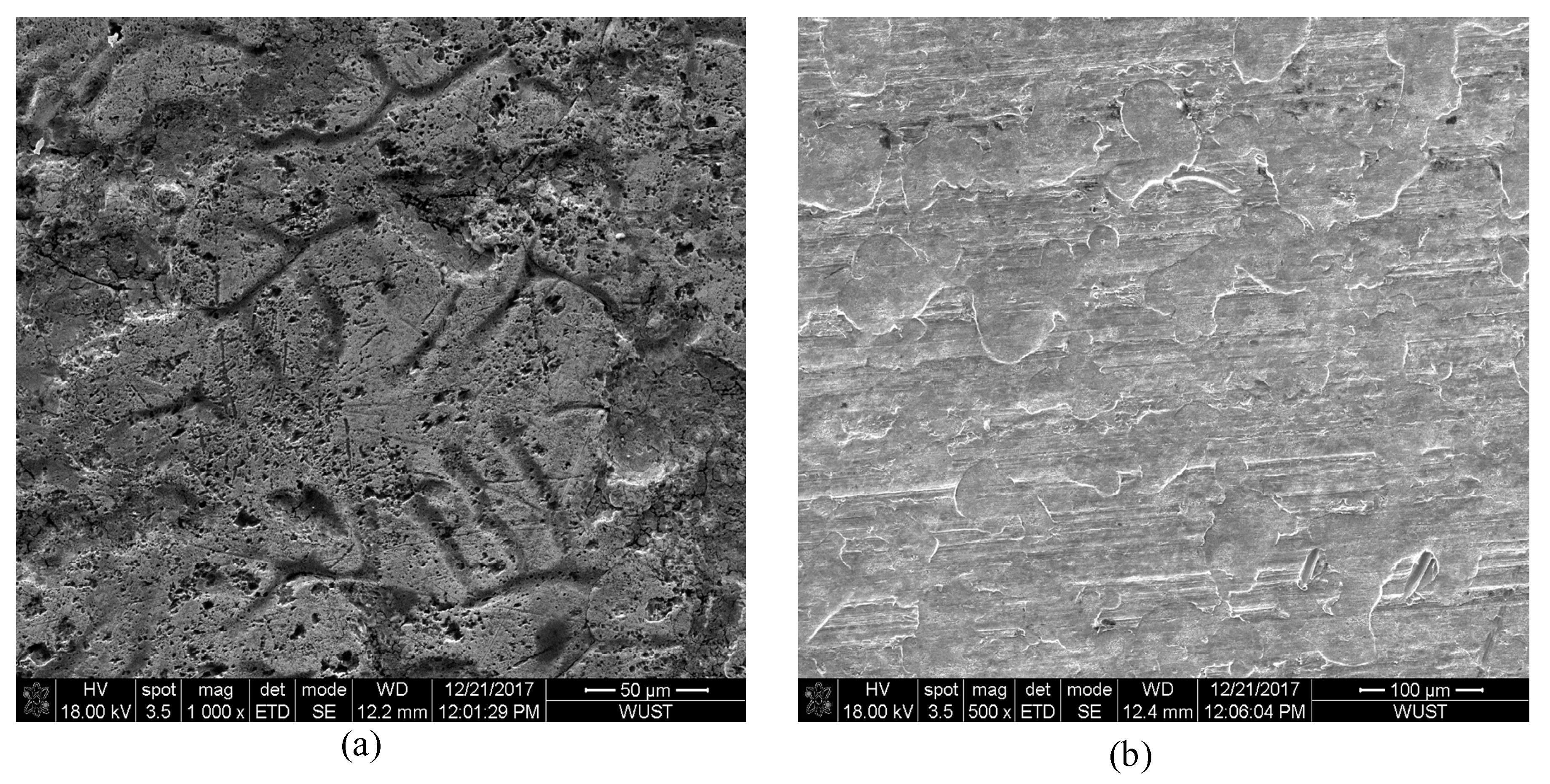 Coatings 10 00202 g002