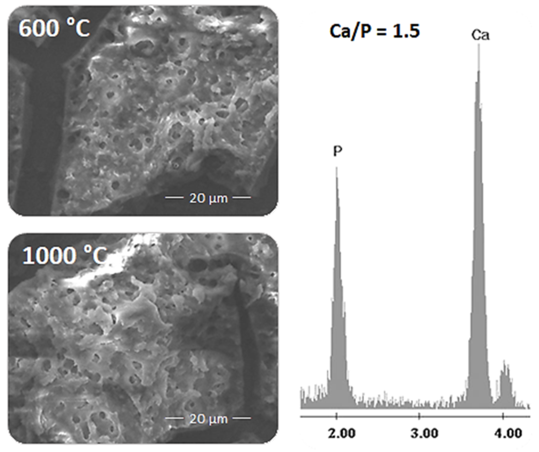 Coatings 10 00203 g004 Coatings 10 00203 g004