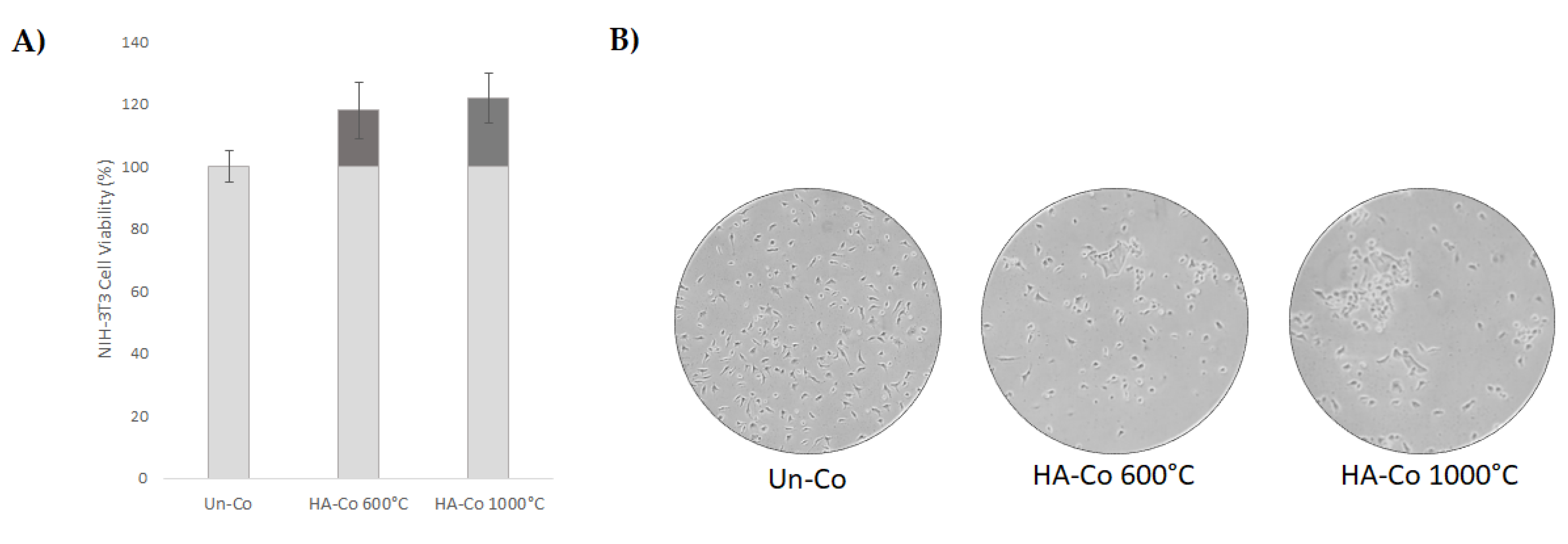 Coatings 10 00203 g006 Coatings 10 00203 g006