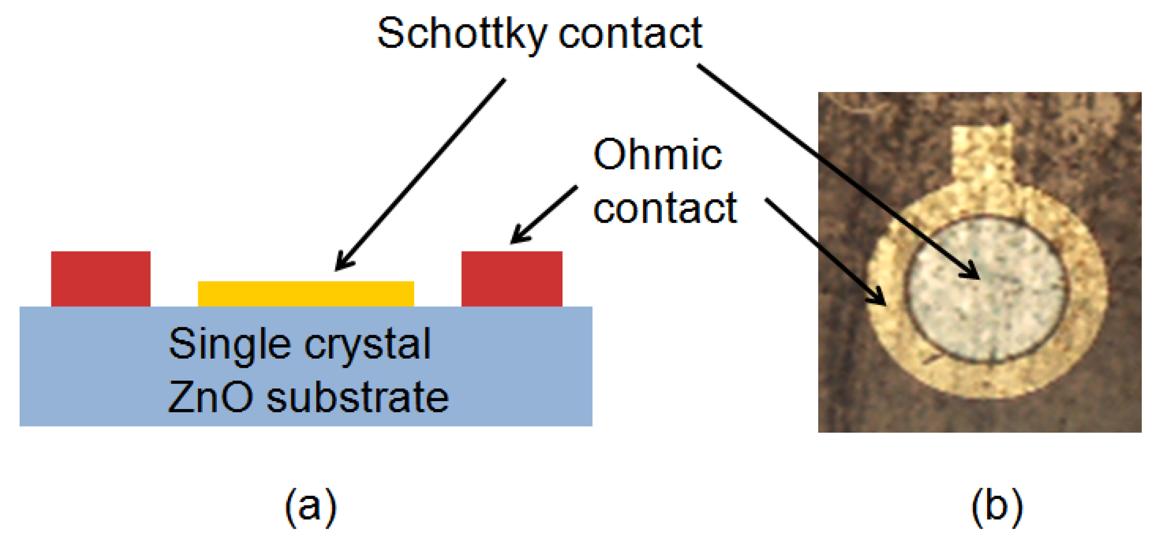 Coatings 10 00206 g001