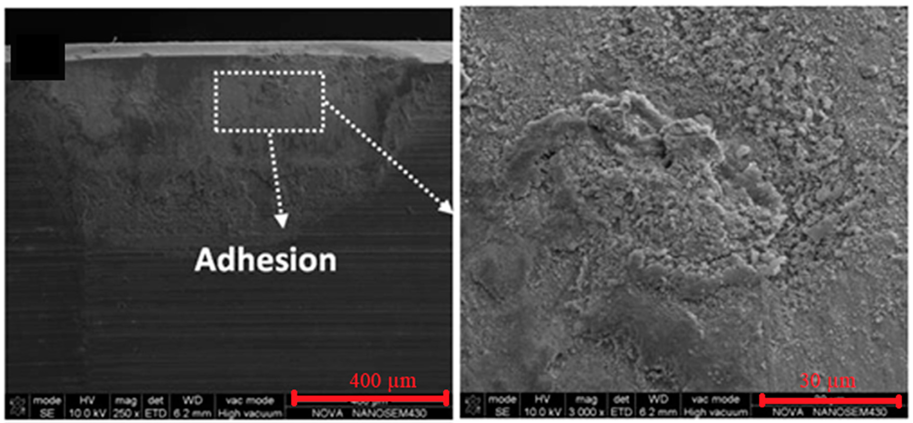 Coatings 10 00235 g003