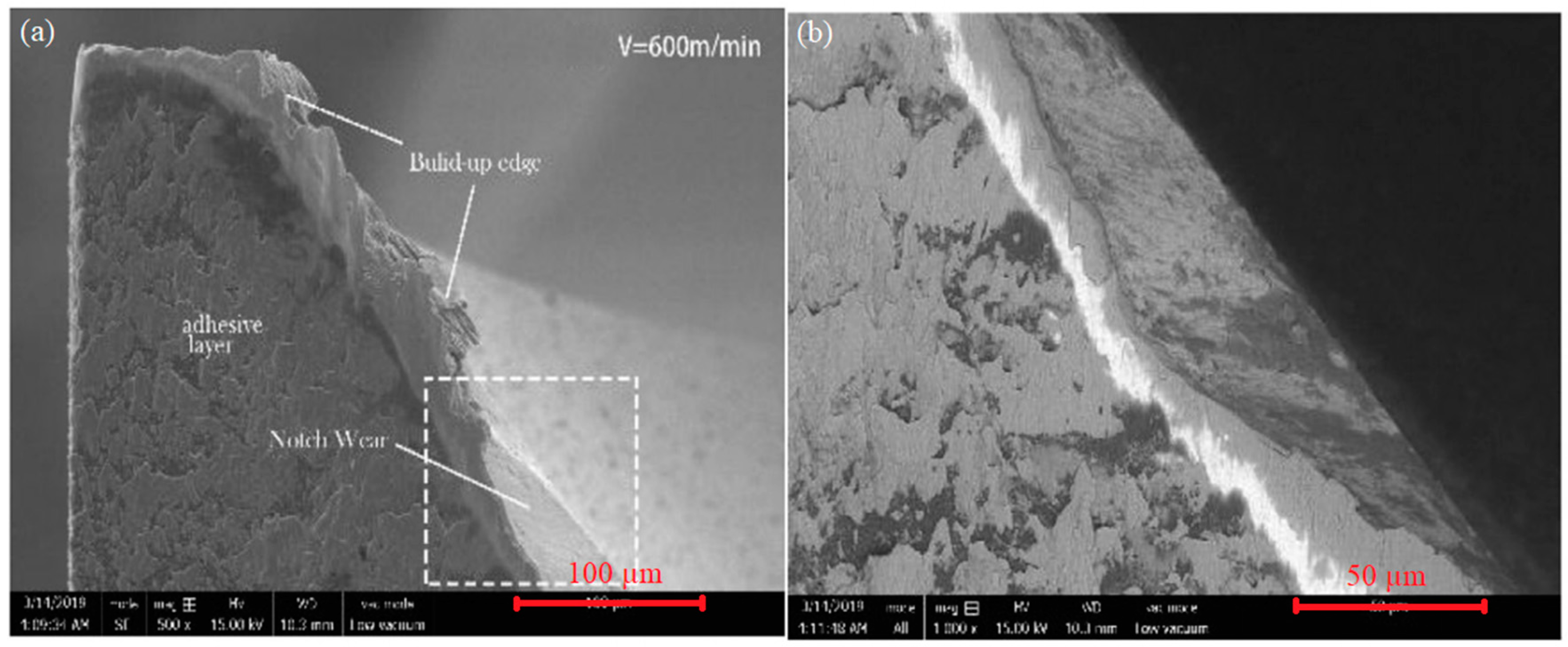 Coatings 10 00235 g006