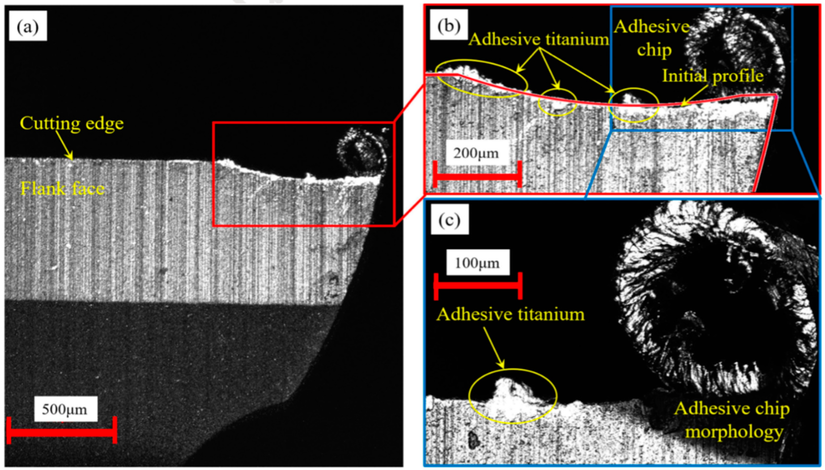 Coatings 10 00235 g010