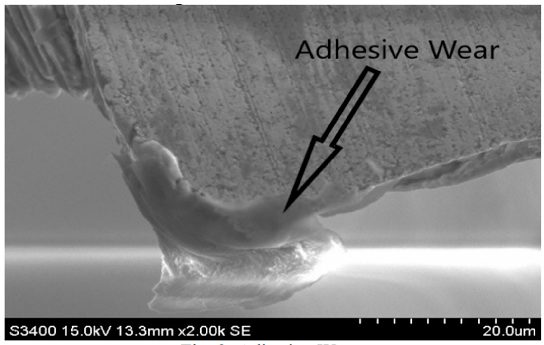 Coatings 10 00235 g016