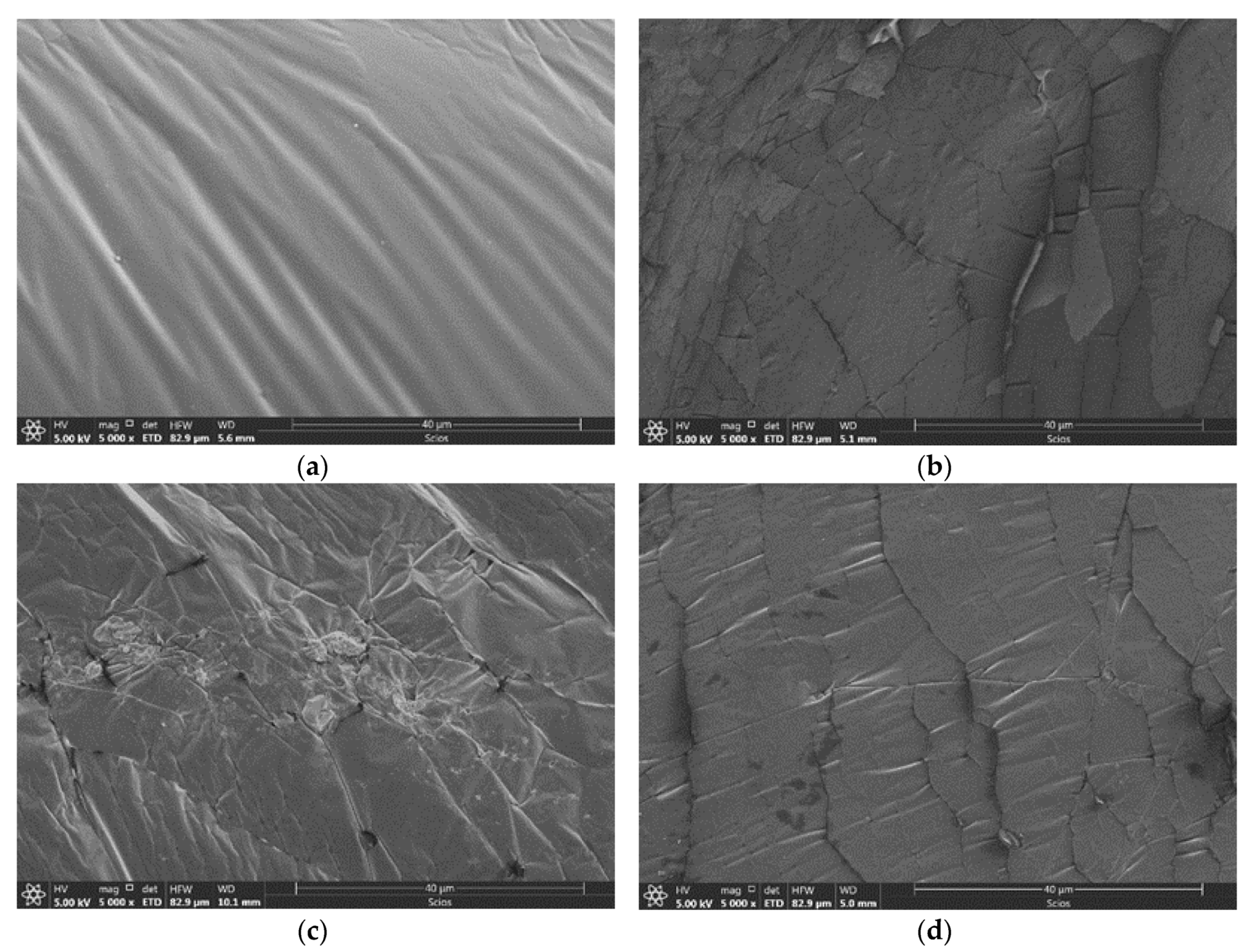 Coatings 10 00239 g013