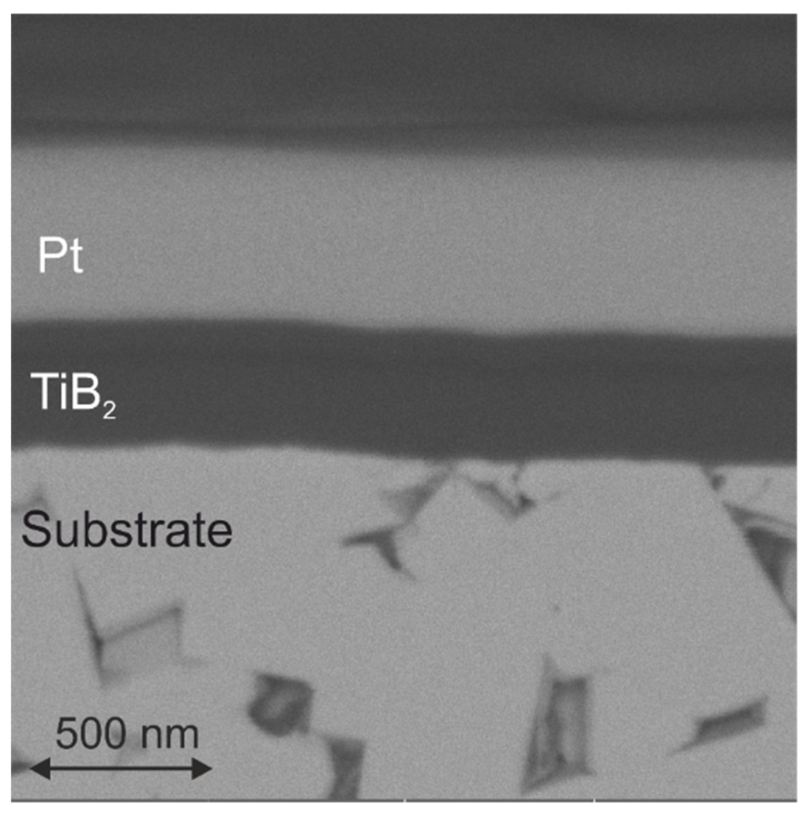 Coatings 10 00244 g006 Coatings 10 00244 g006