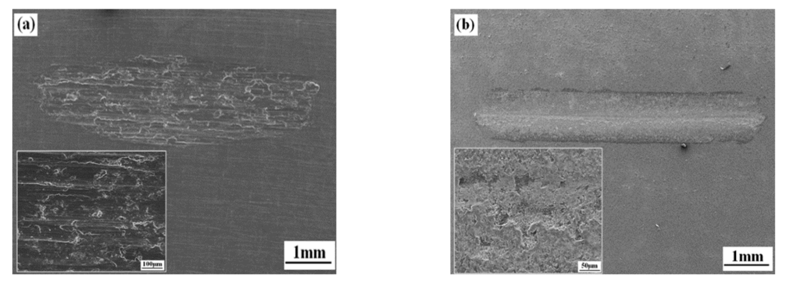 Coatings 10 00249 g014a