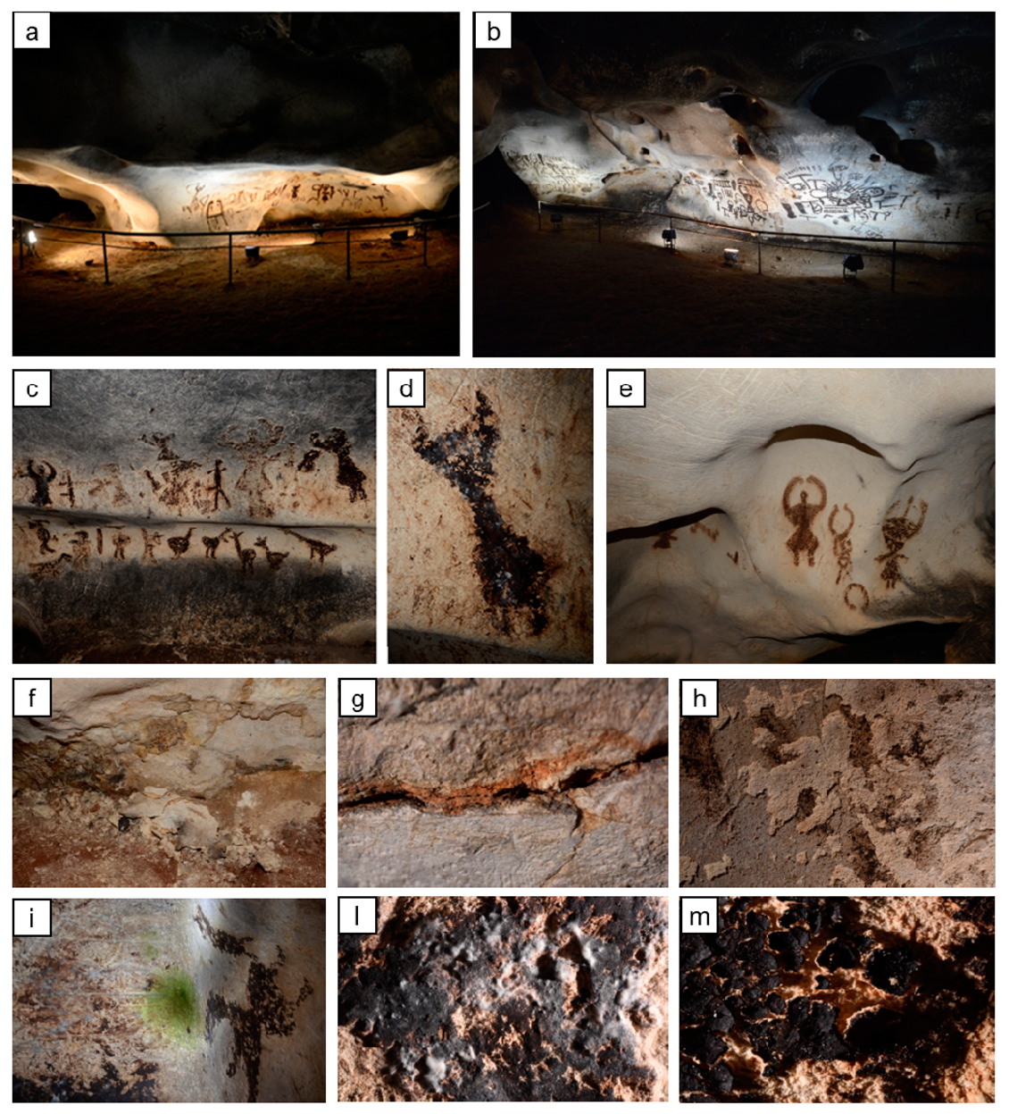 Coatings 10 00250 g001