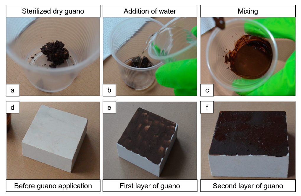 Coatings 10 00250 g002