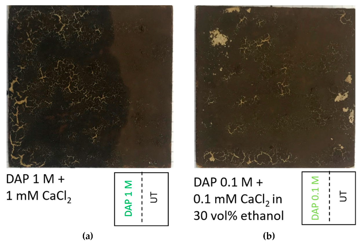 Coatings 10 00250 g003
